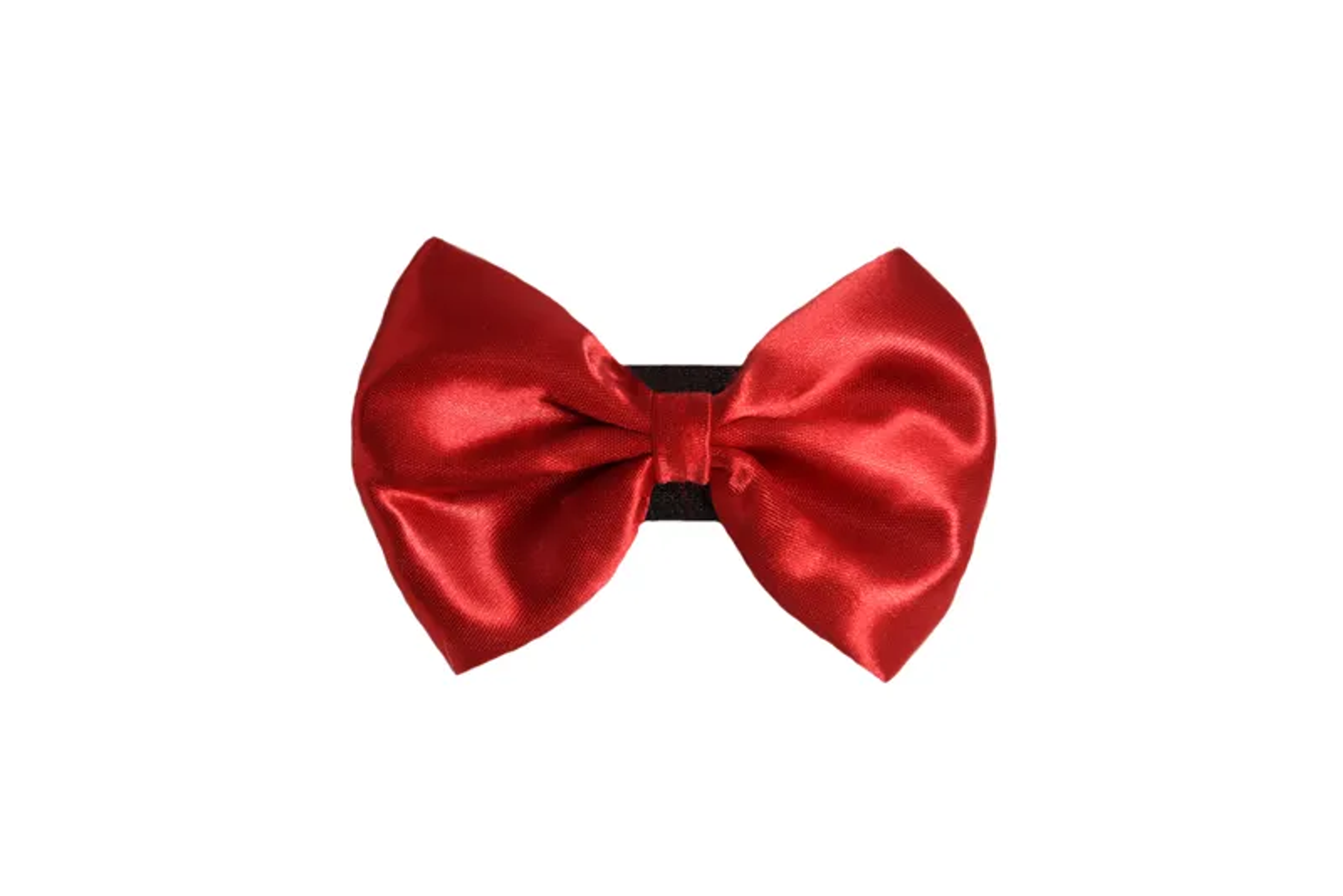 PR3000|Pets Ribbons Image 1