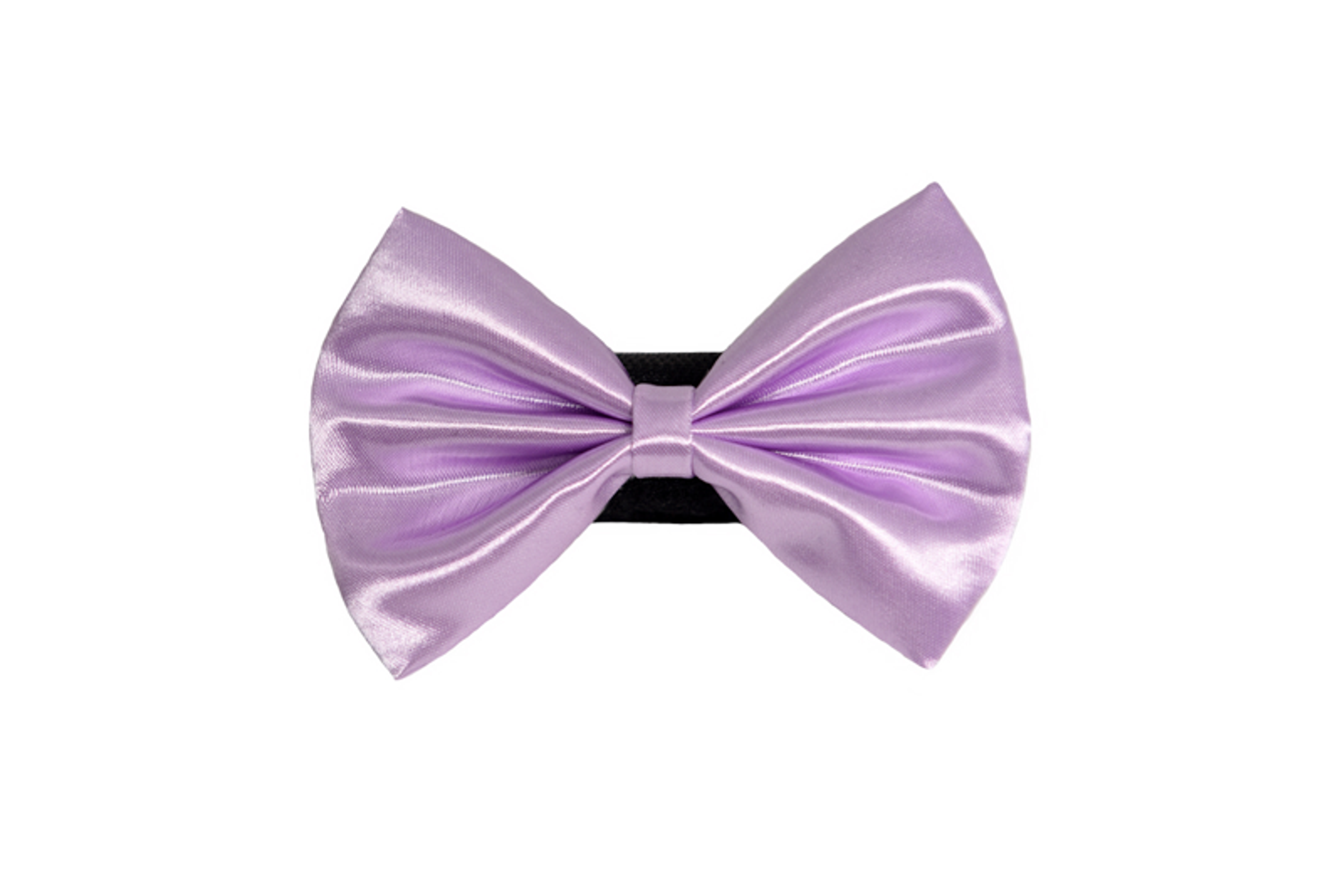 PR3000|Pets Ribbons Image 1