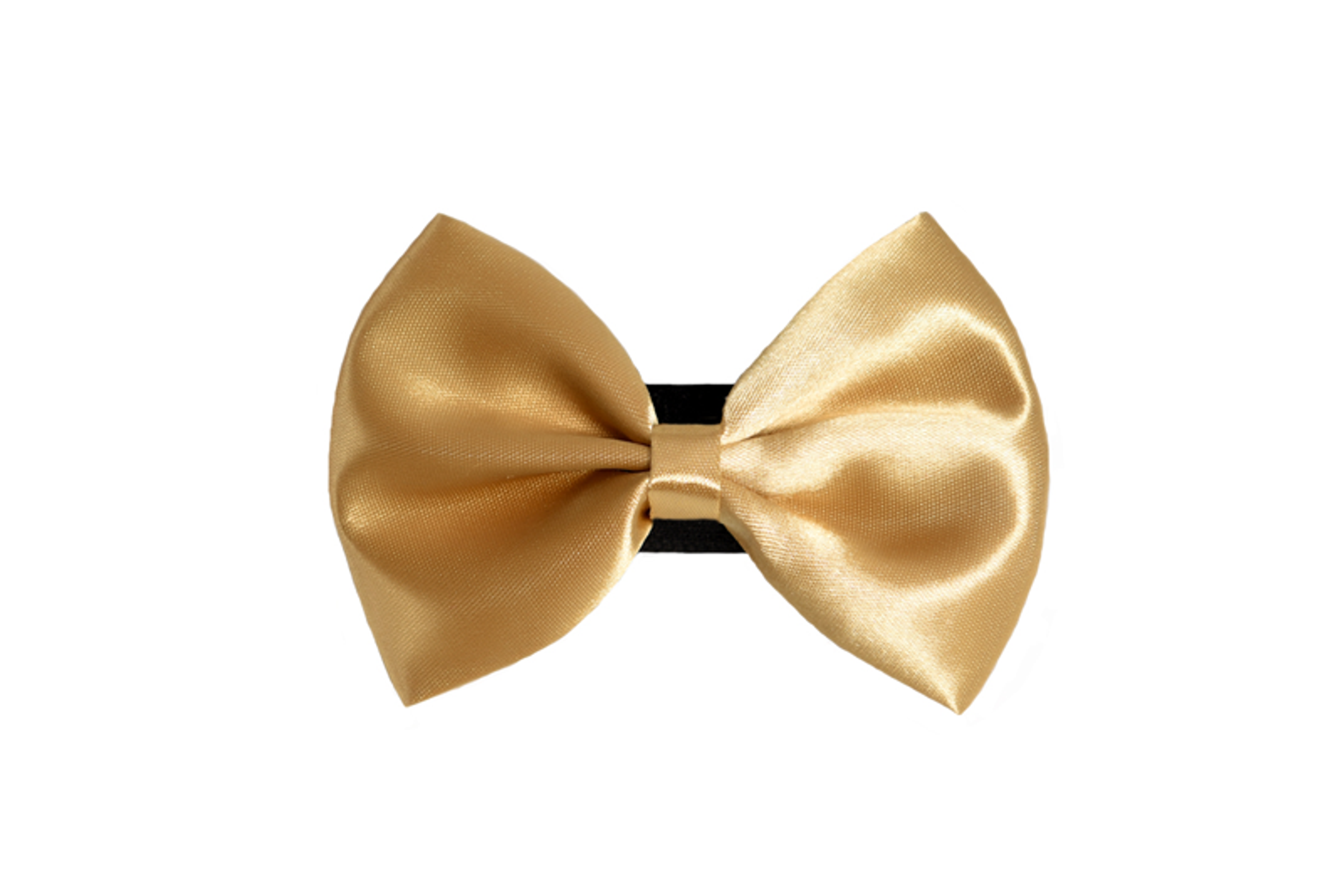 PR3000|Pets Ribbons Image 1