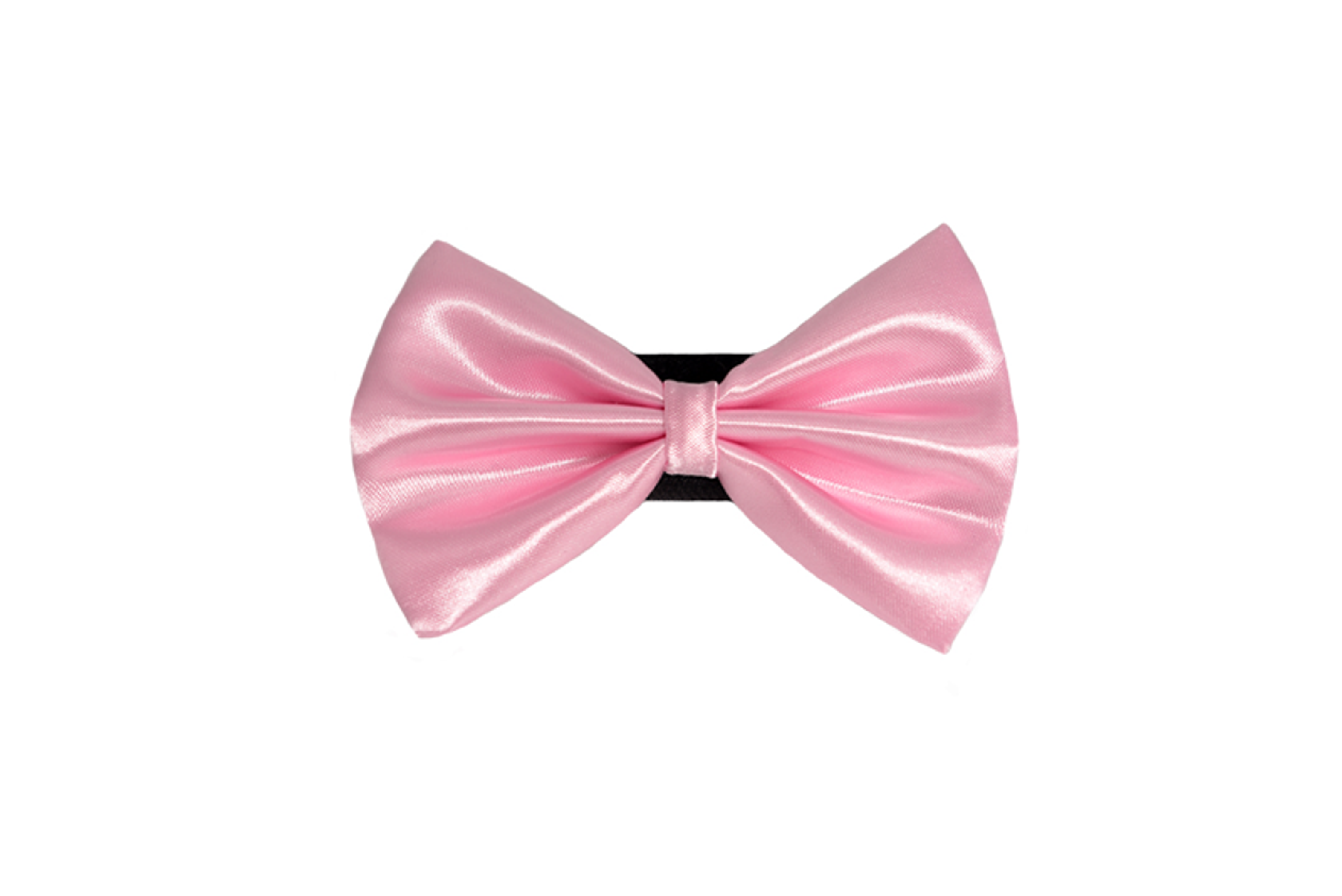 PR3000|Pets Ribbons Image 1