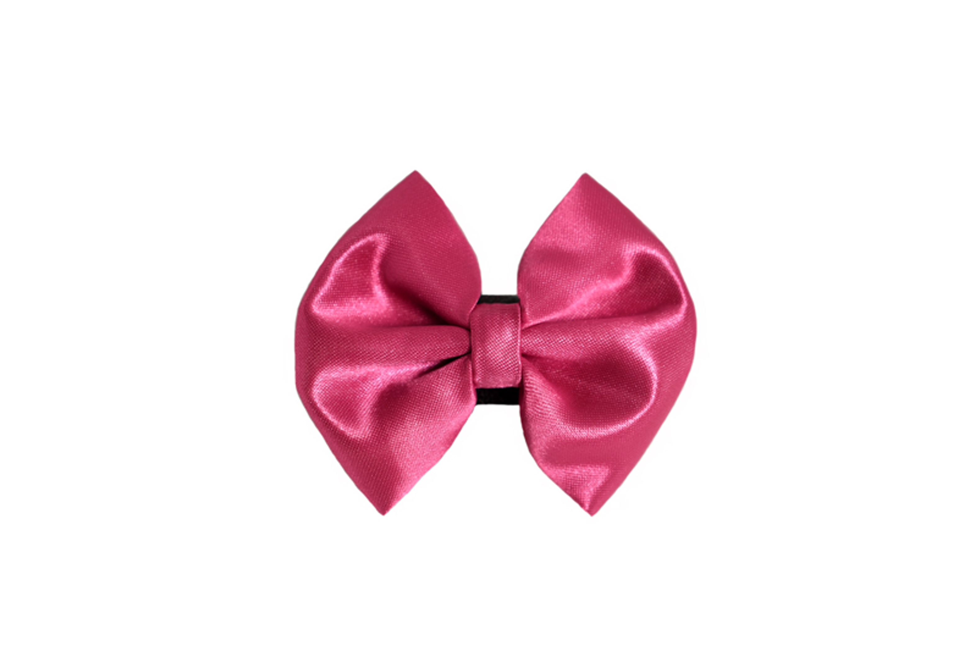 PR3000|Pets Ribbons Image 1
