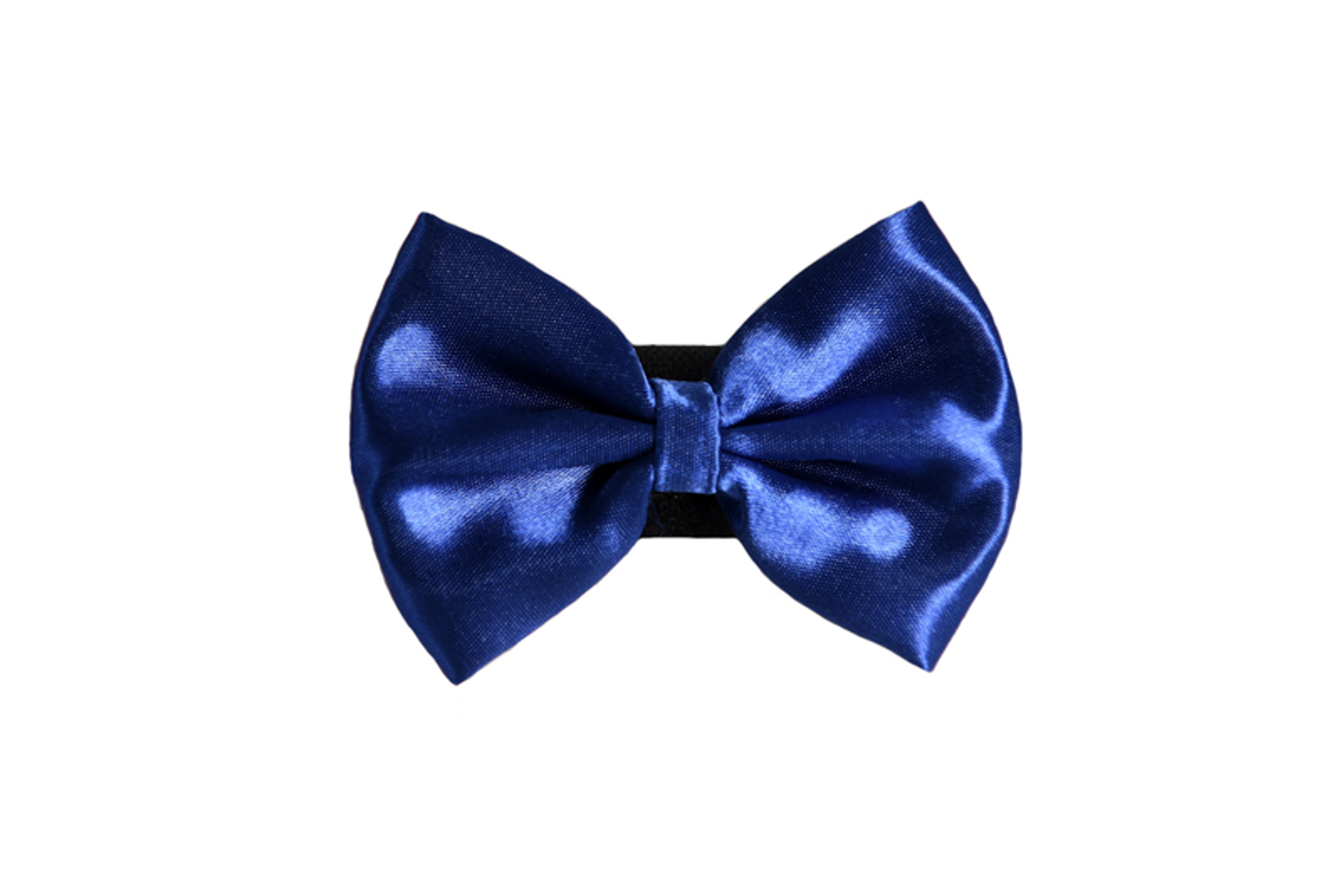 PR3000|Pets Ribbons Image 1