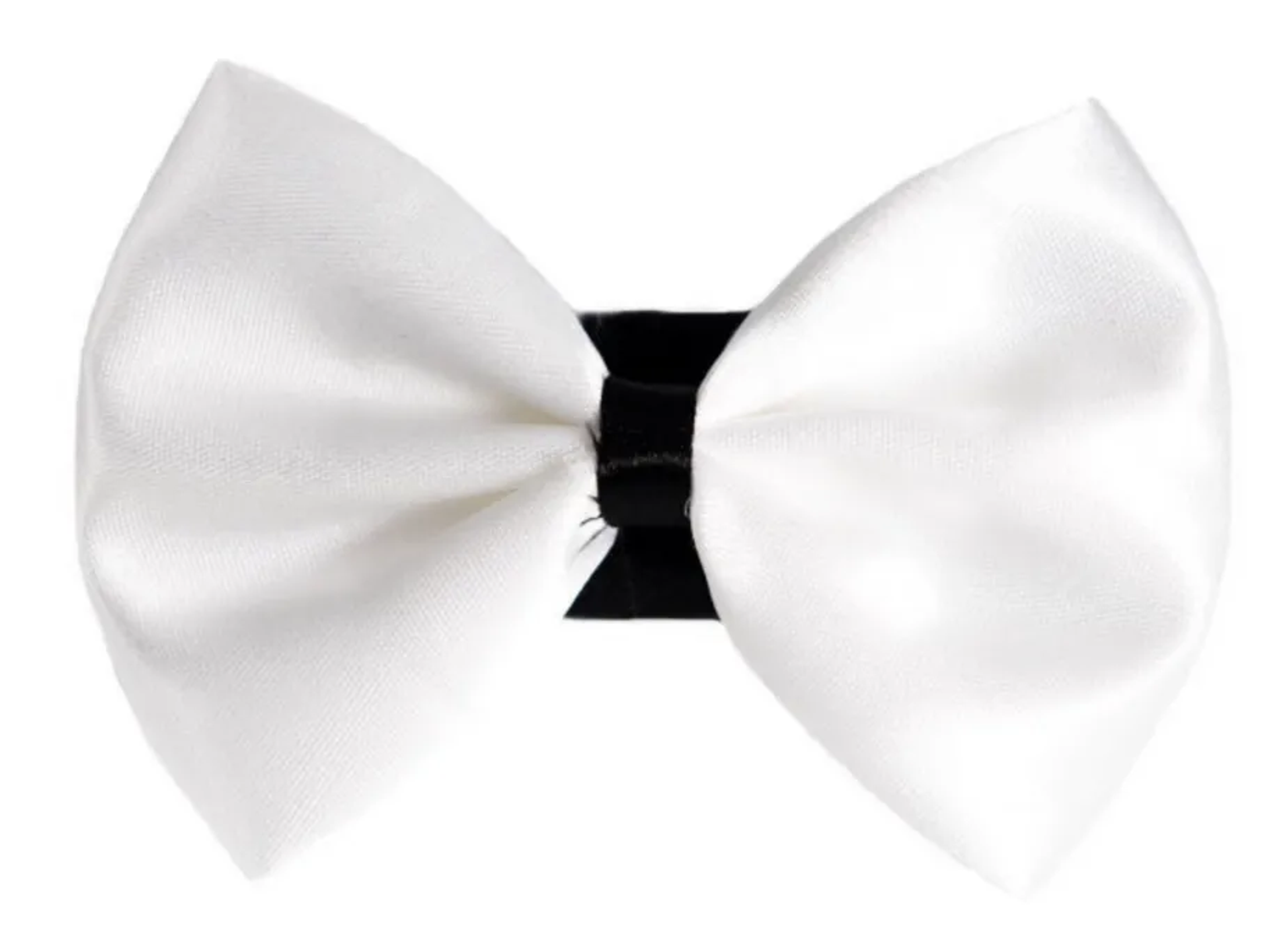 PR3001|Pets Ribbons Image 1