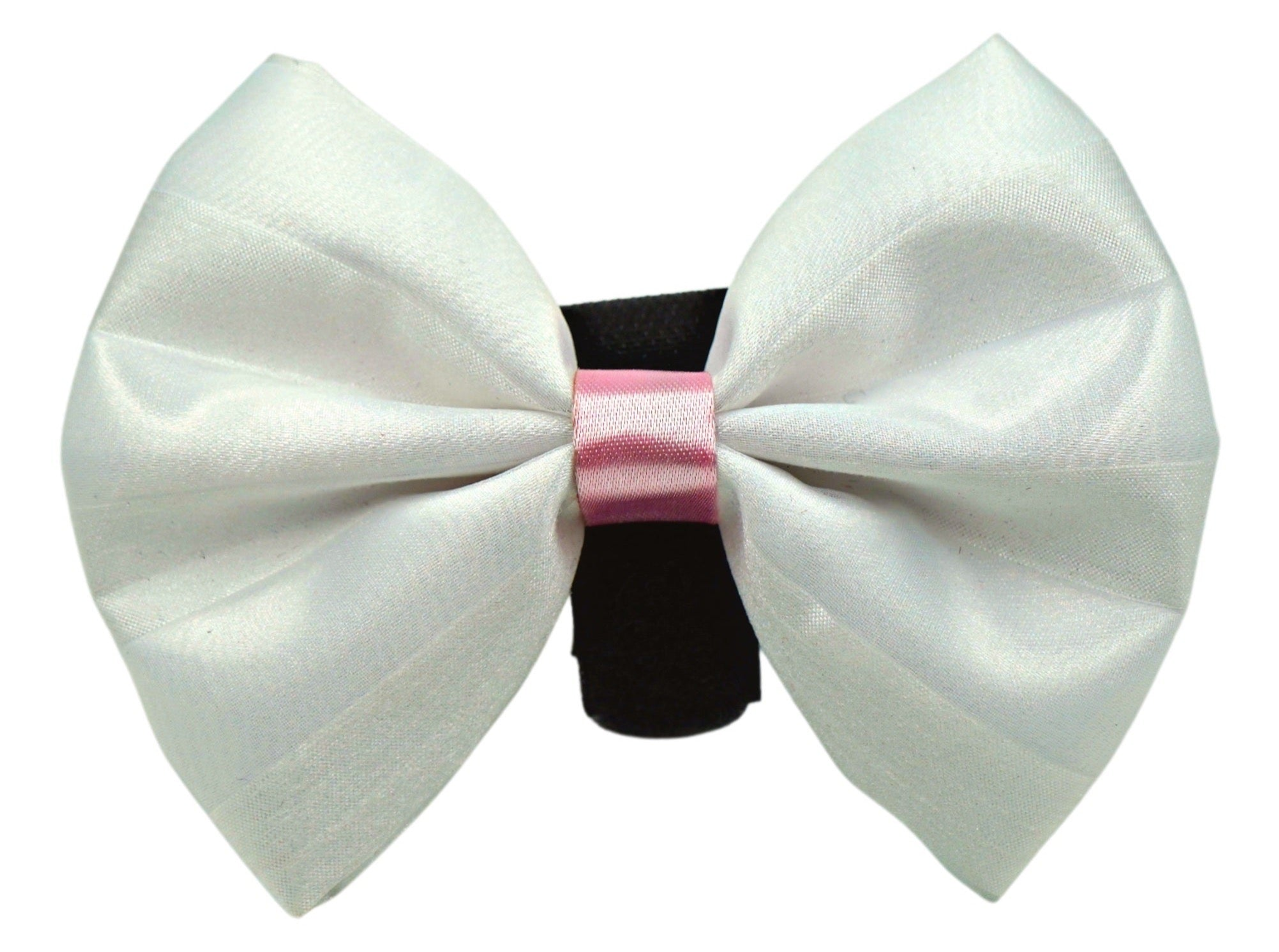 PR3001VA|Pets Ribbons Image 1