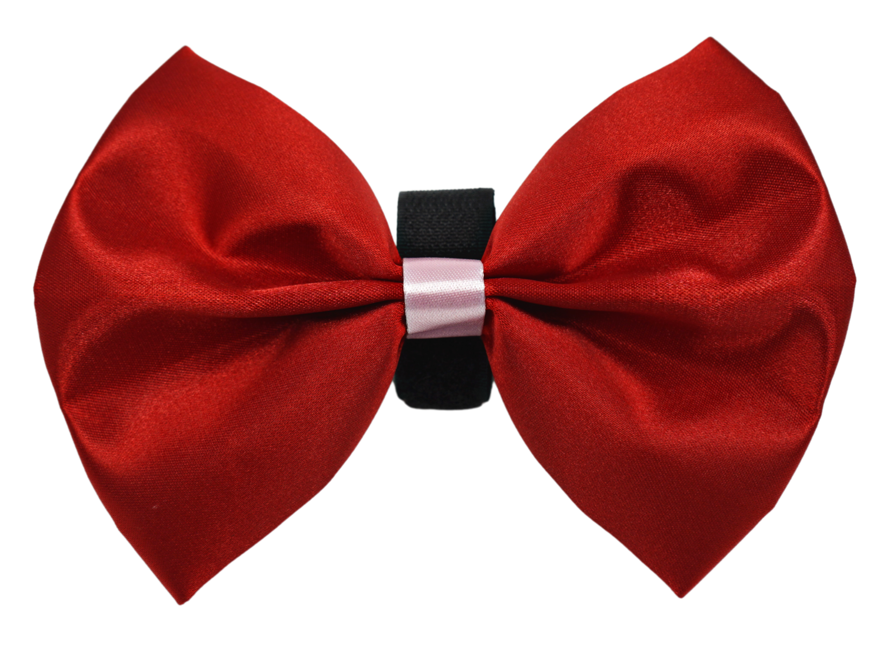 PR3001VA|Pets Ribbons Image 1