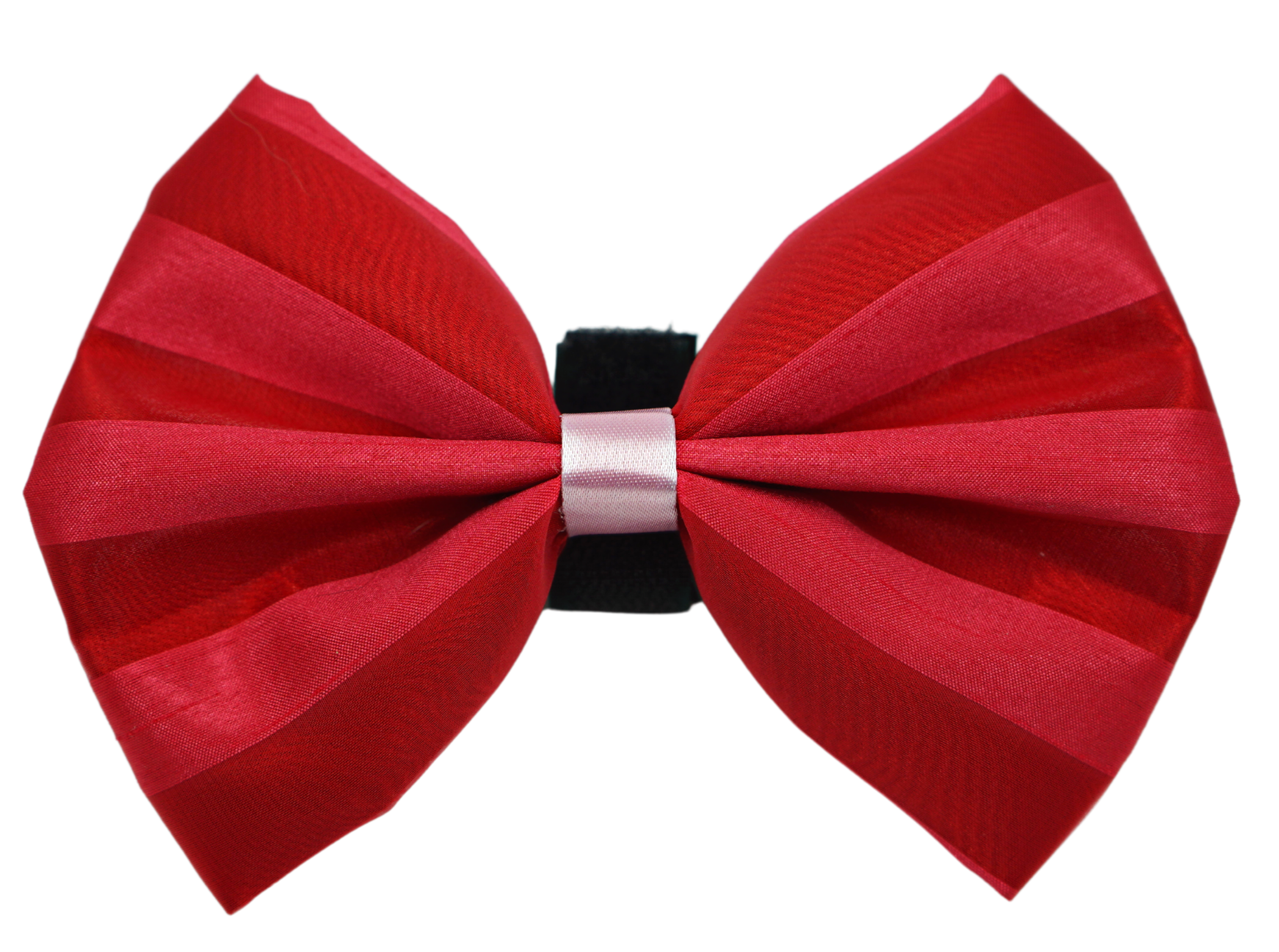 PR3006VA|Pets Ribbons Image 1