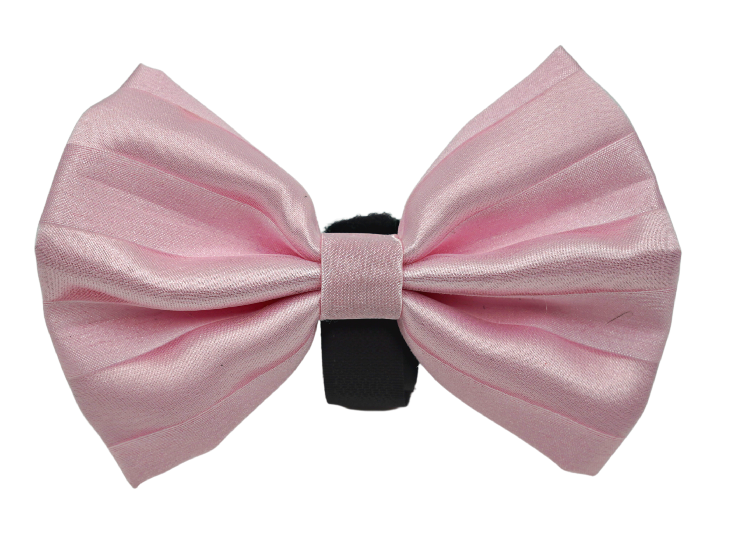 PR3006VA|Pets Ribbons Image 1
