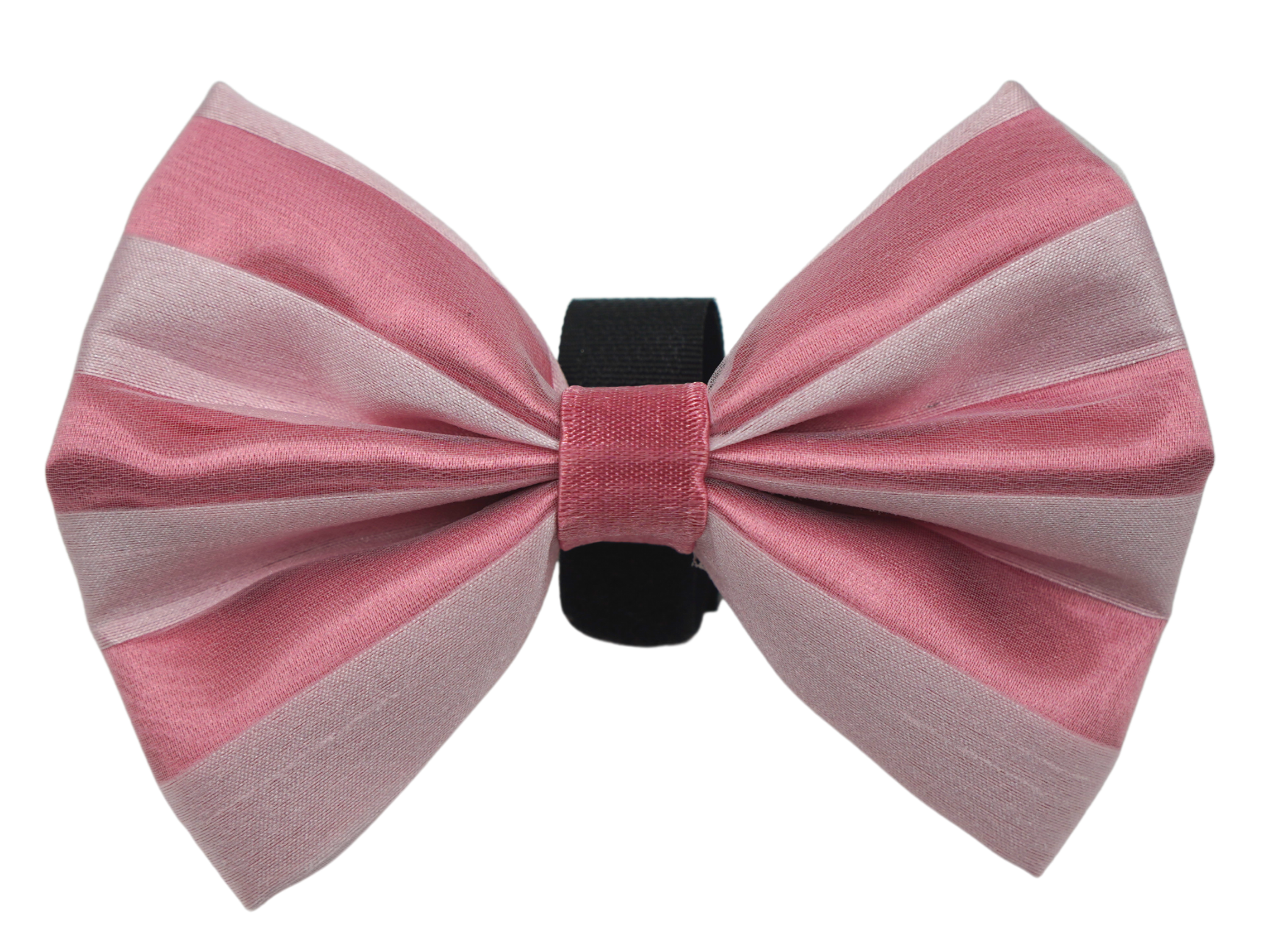 PR3006VA|Pets Ribbons Image 1