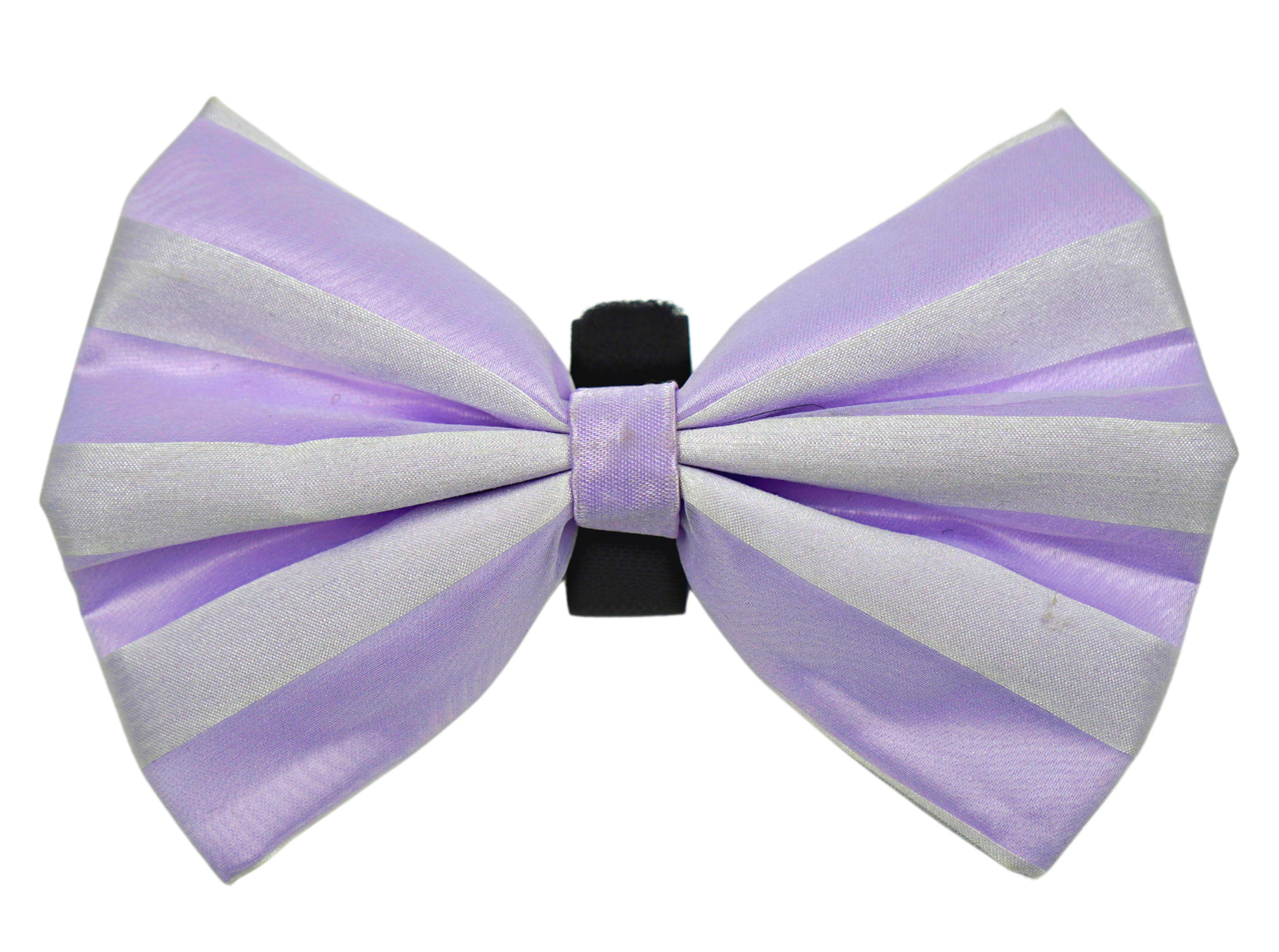 PR3006VA|Pets Ribbons Image 1
