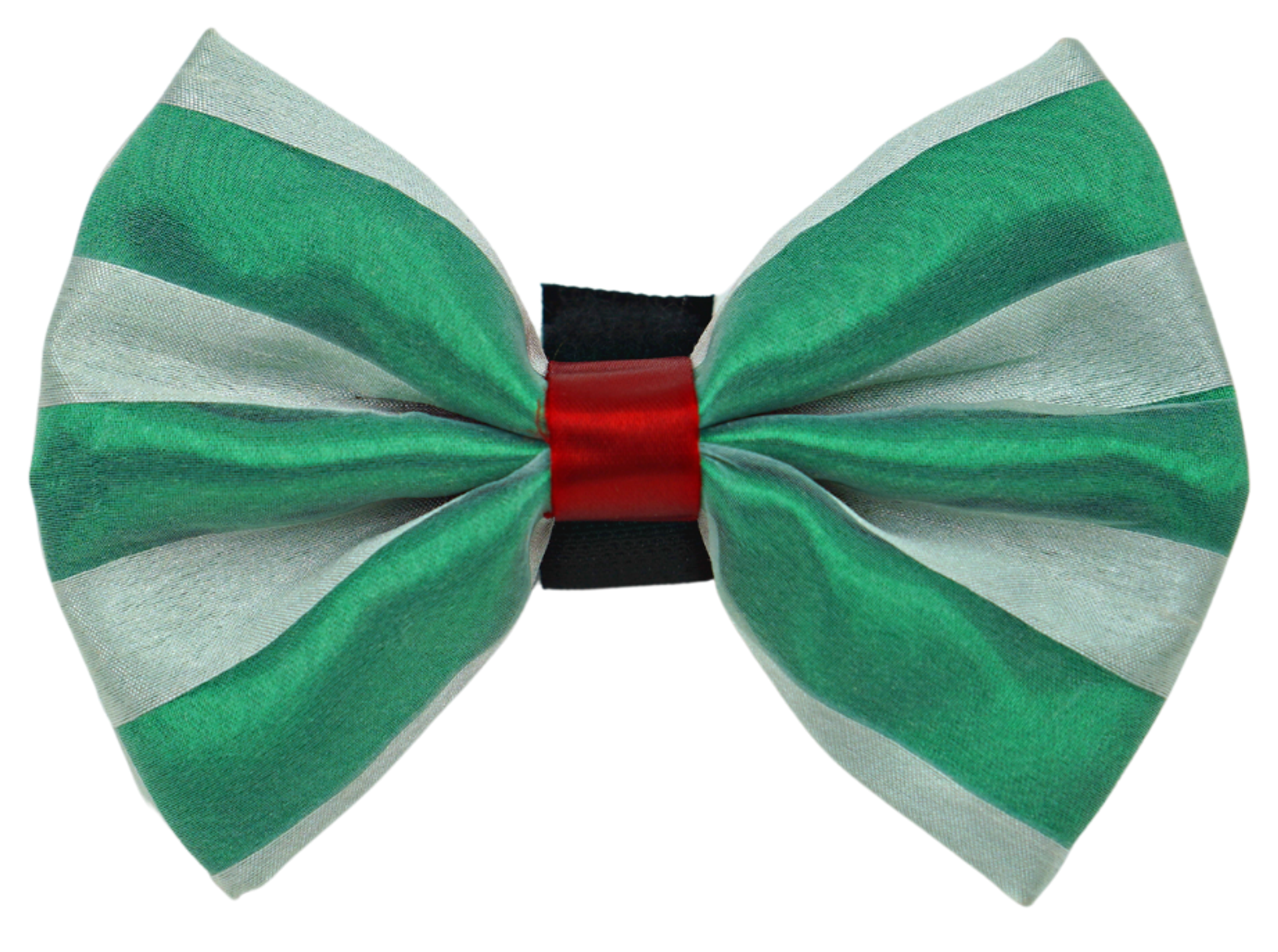 PR3006X|Pets Ribbons Image 1