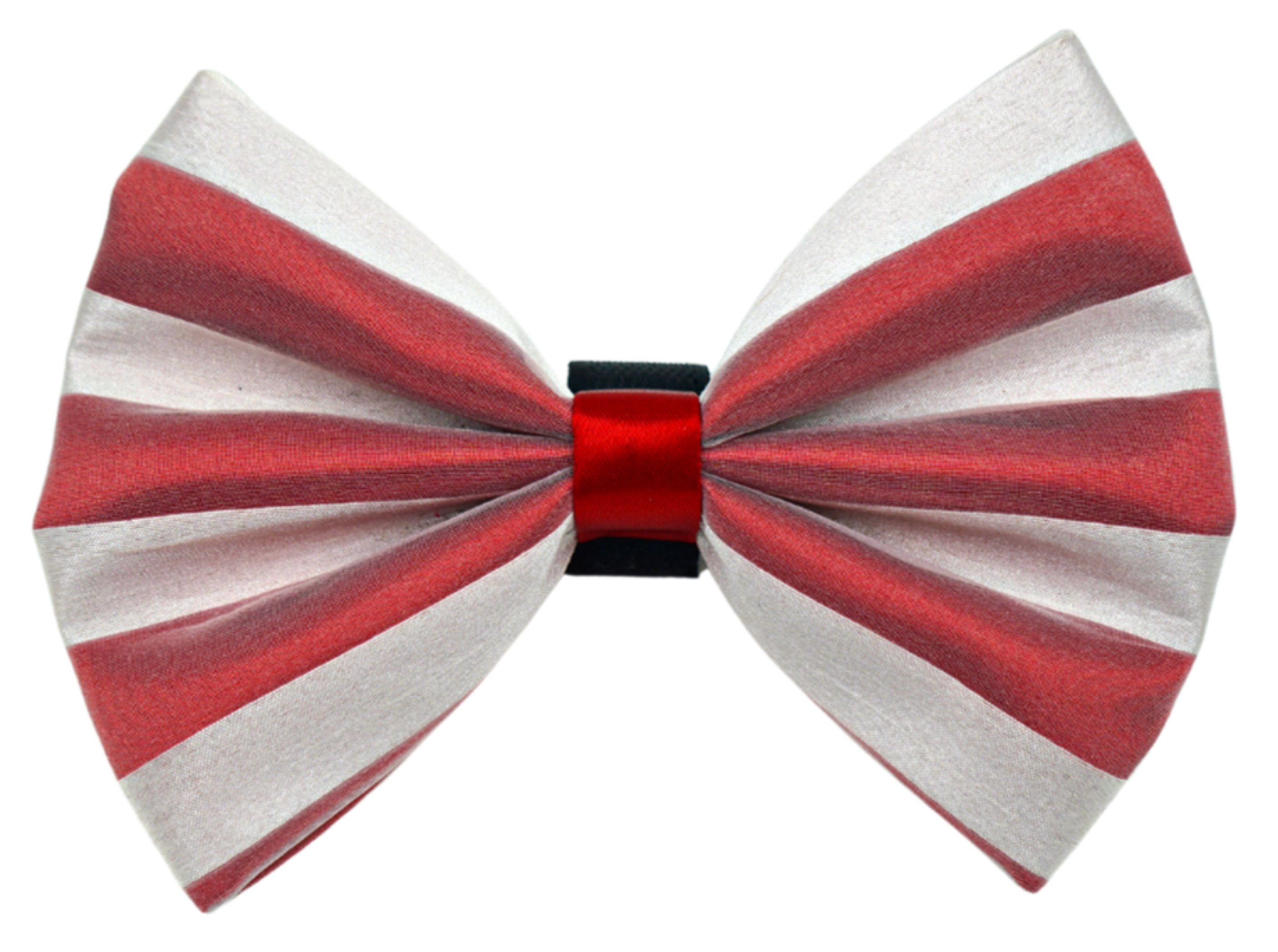 PR3006X|Pets Ribbons Image 1