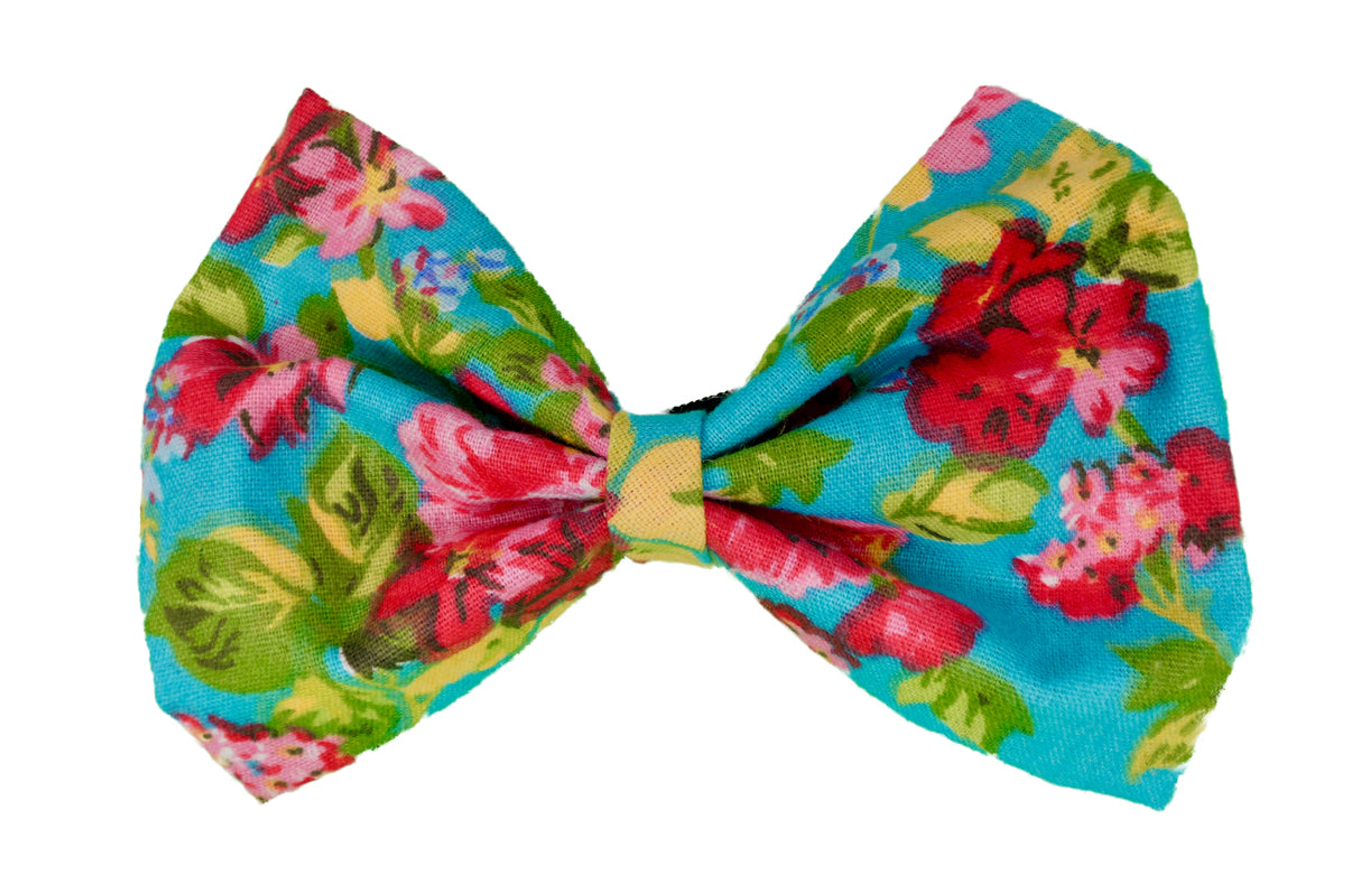 PR8007V|Pets Ribbons Image 1