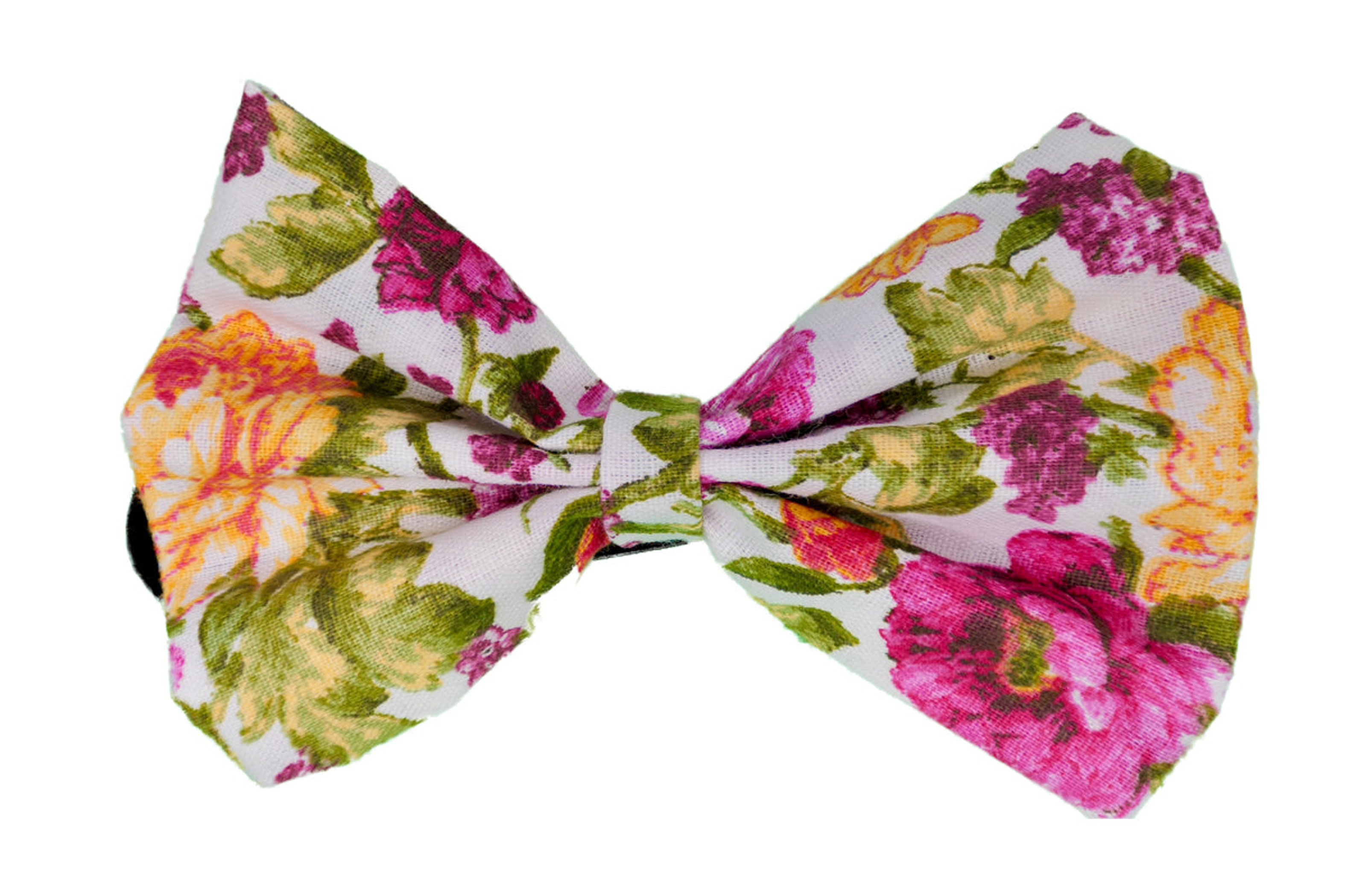PR8007V|Pets Ribbons Image 1