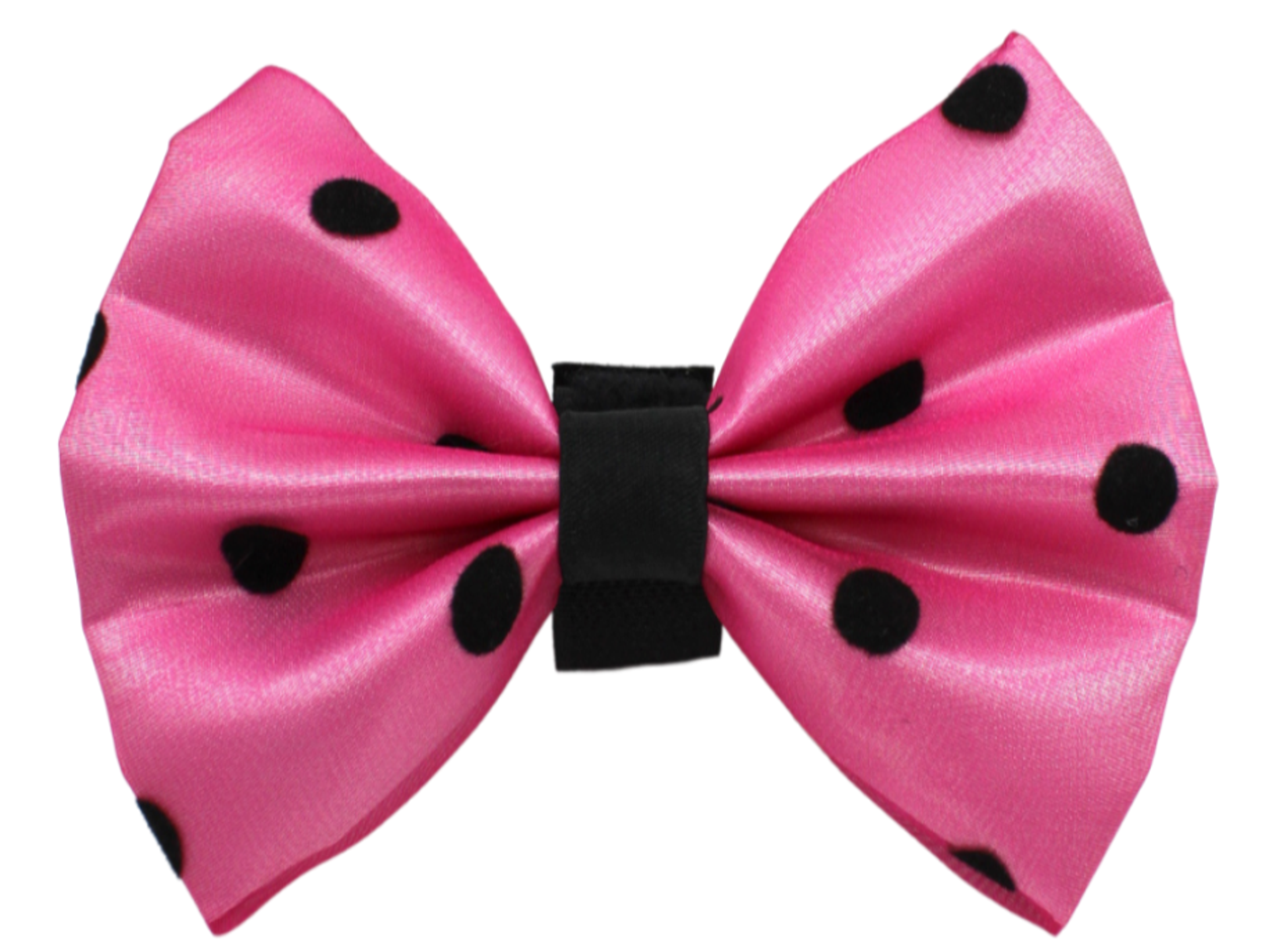 PR1001|Pets Ribbons Image 1