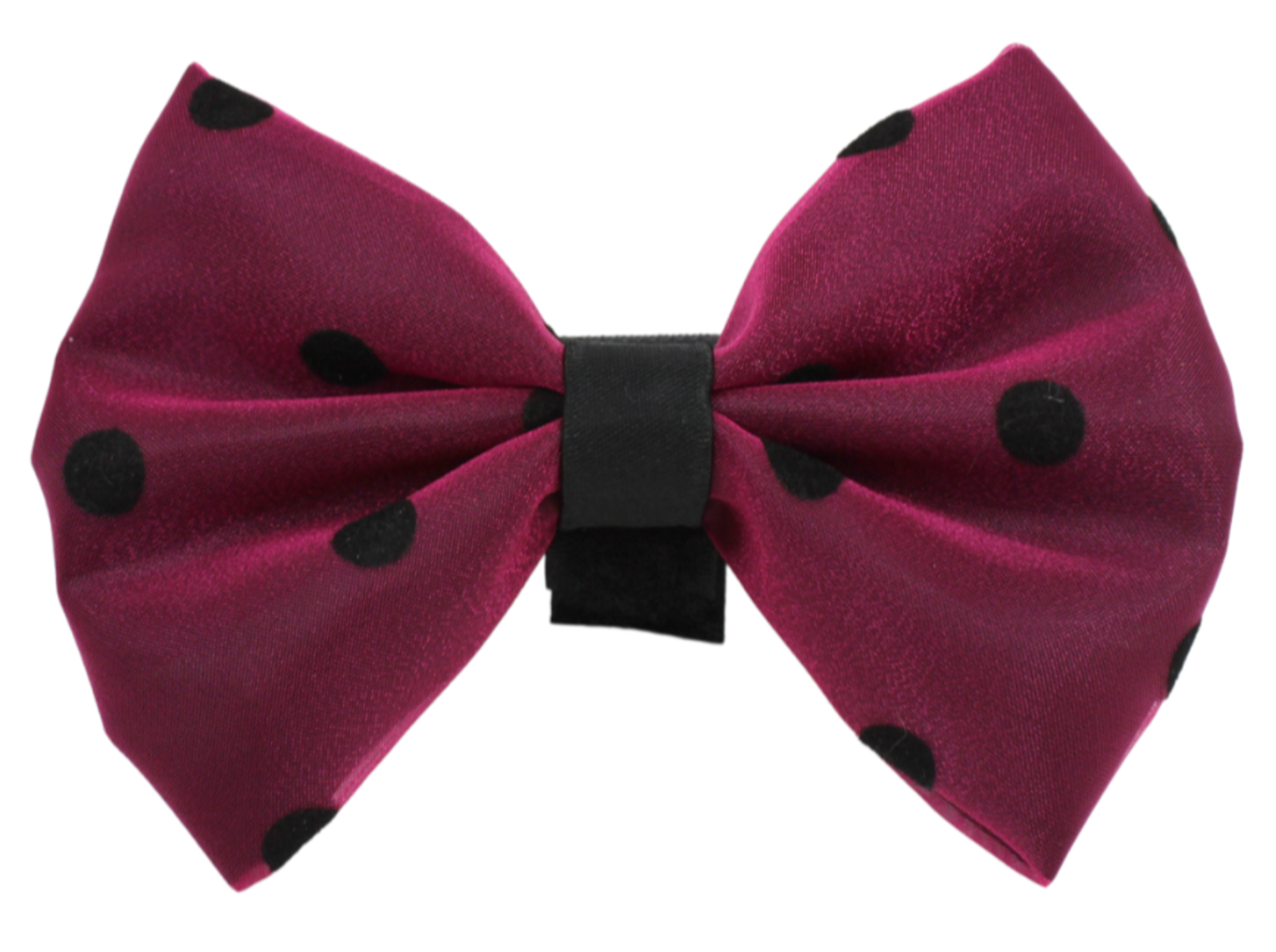 PR1001|Pets Ribbons Image 1