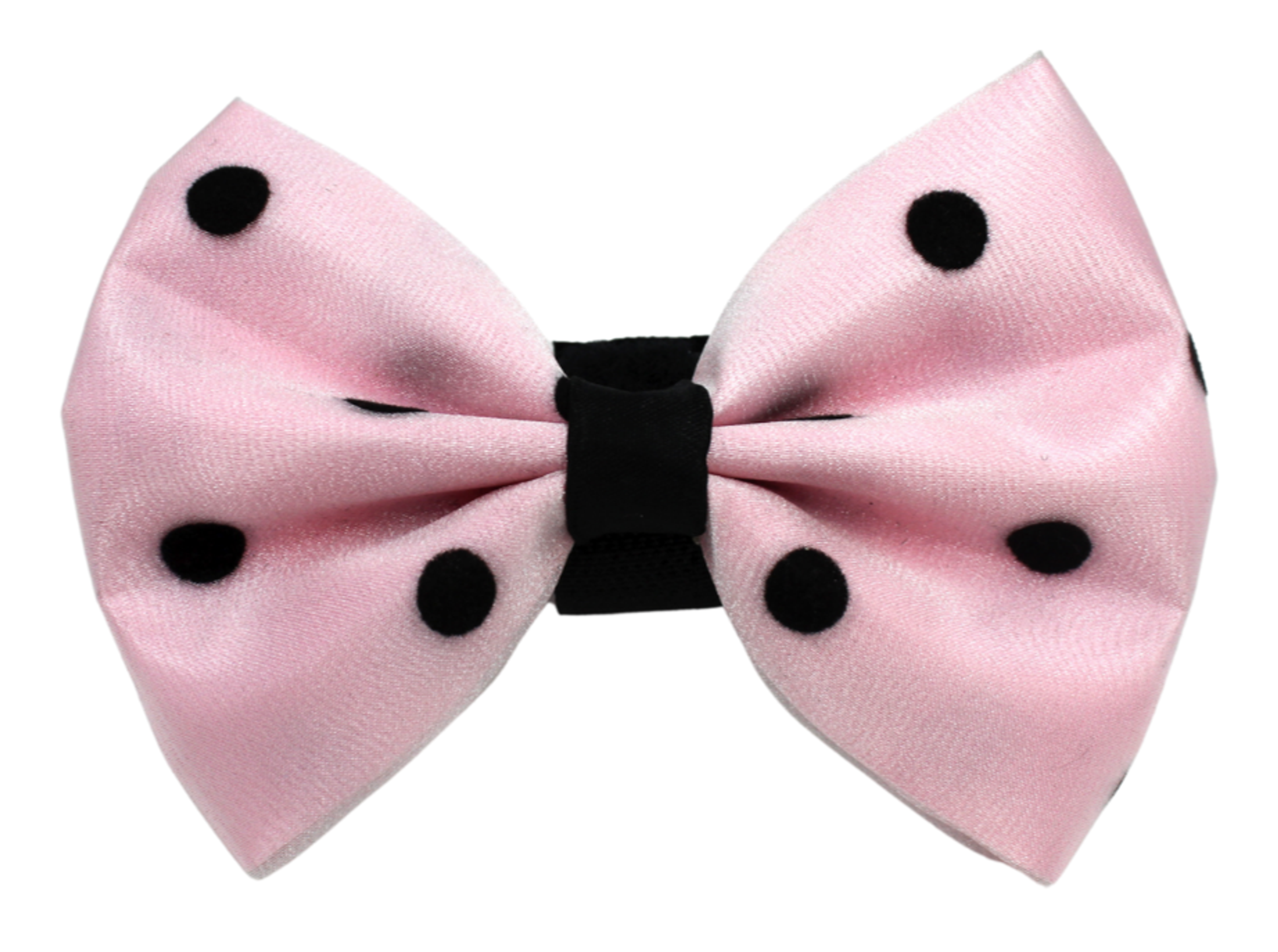 PR1001|Pets Ribbons Image 1