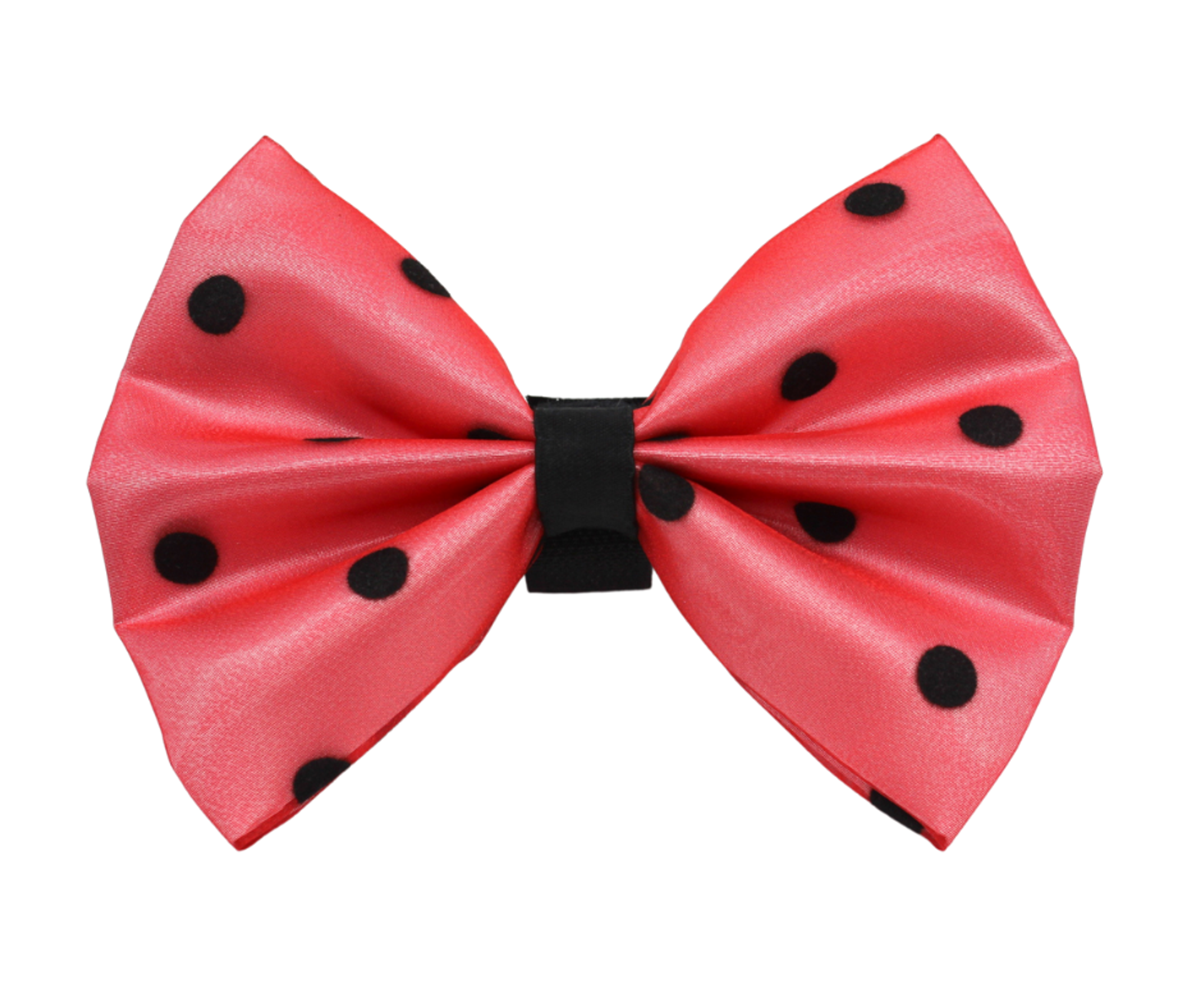 PR1001|Pets Ribbons Image 1