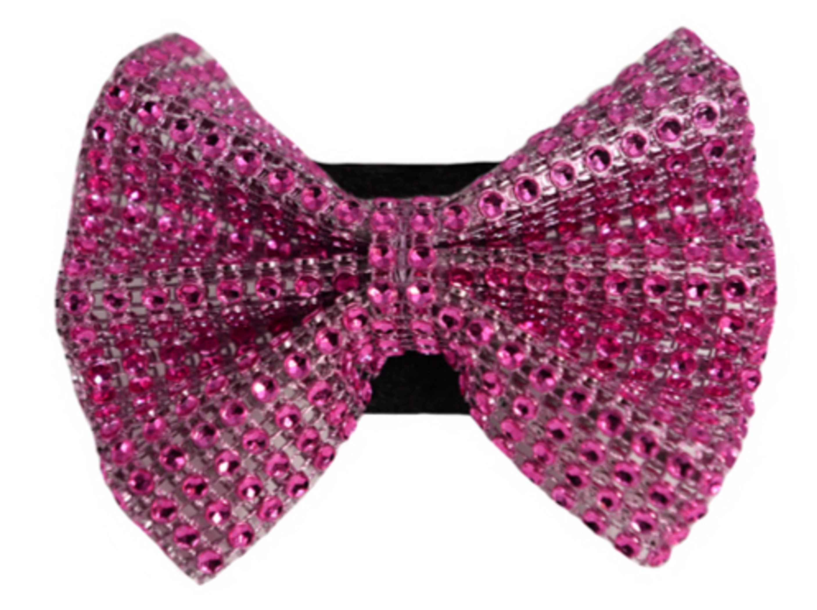 PR2000|Pets Ribbons Image 1