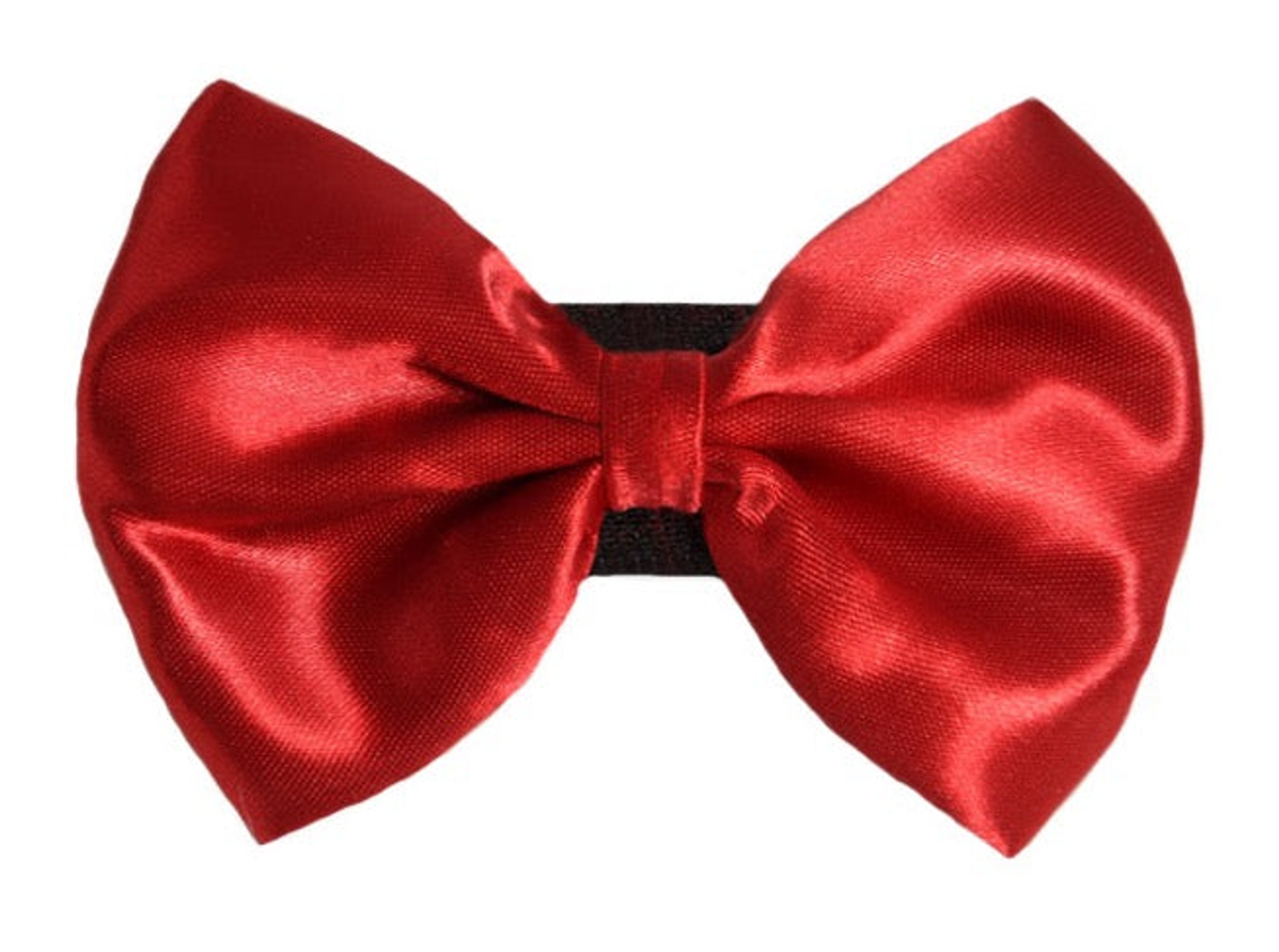 PR3000|Pets Ribbons Image 1