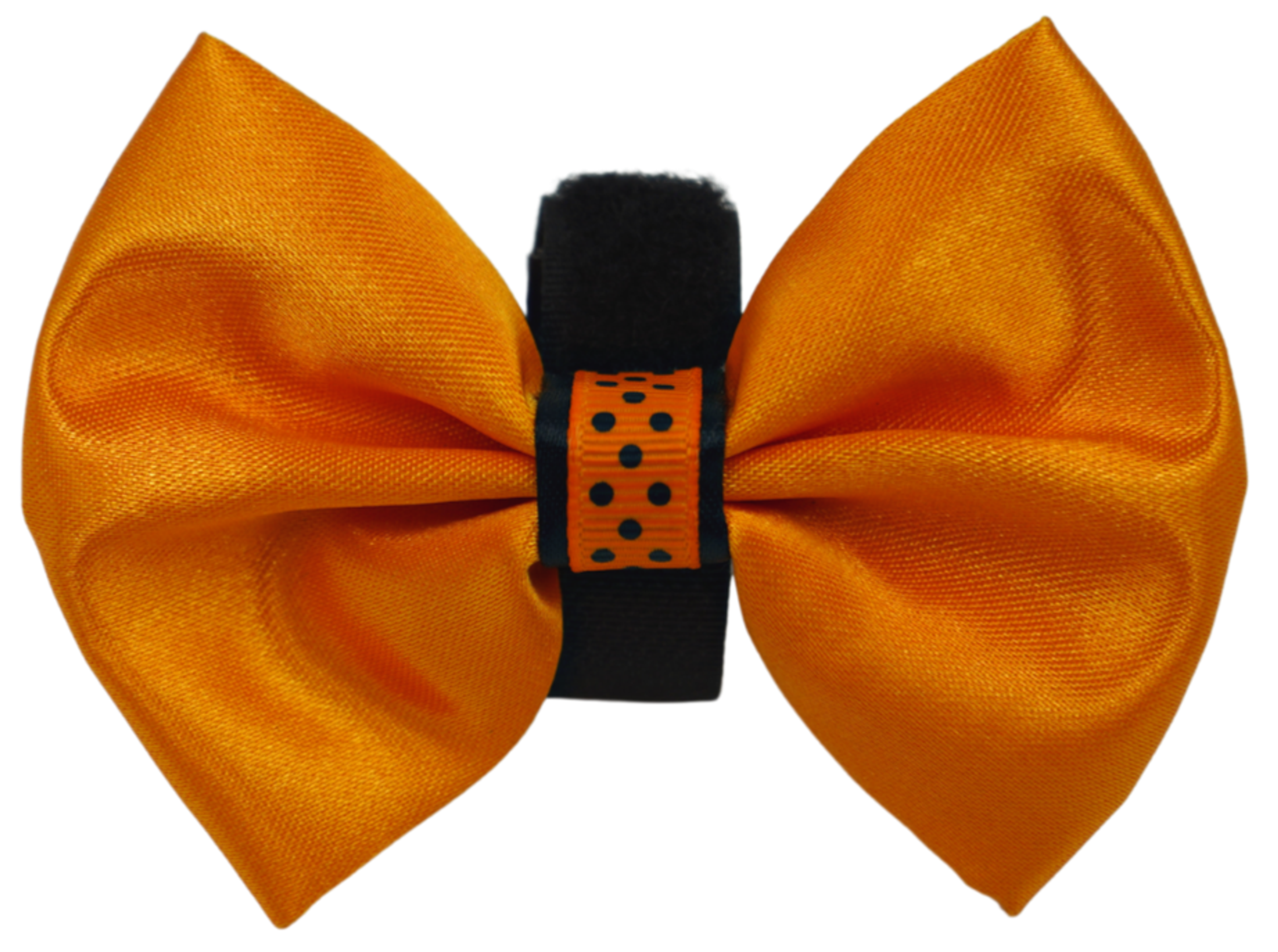 PR3000HD|Pets Ribbons Image 1