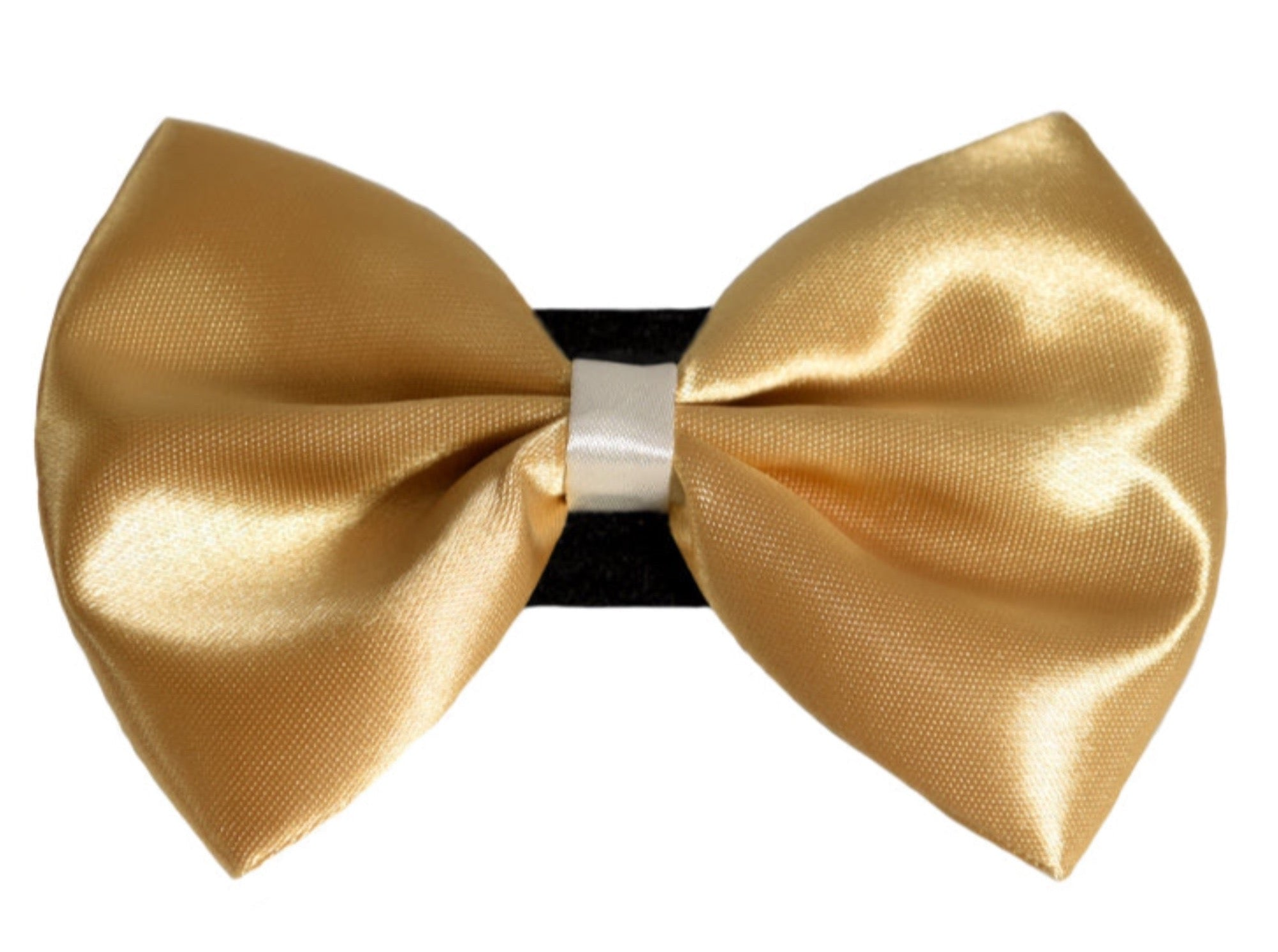 PR3001|Pets Ribbons Image 1