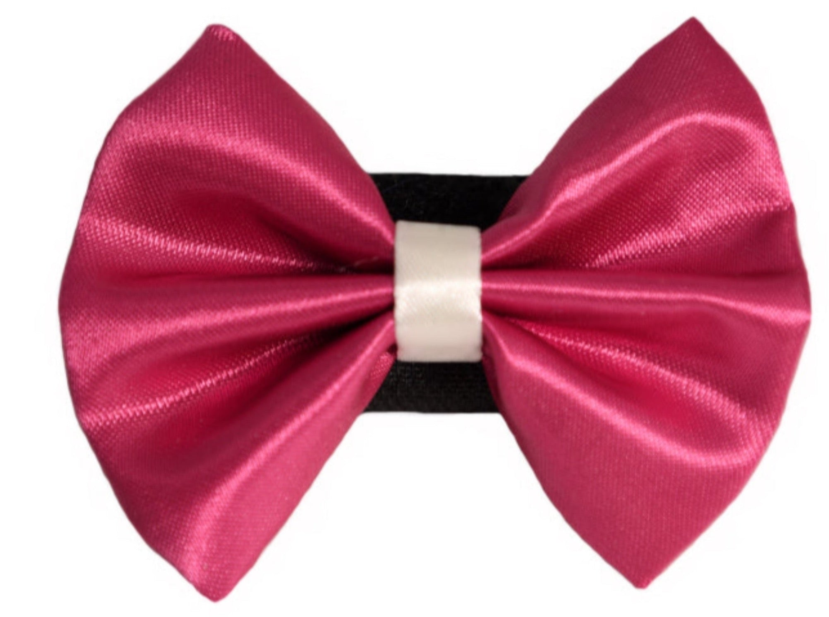 PR3001|Pets Ribbons Image 1