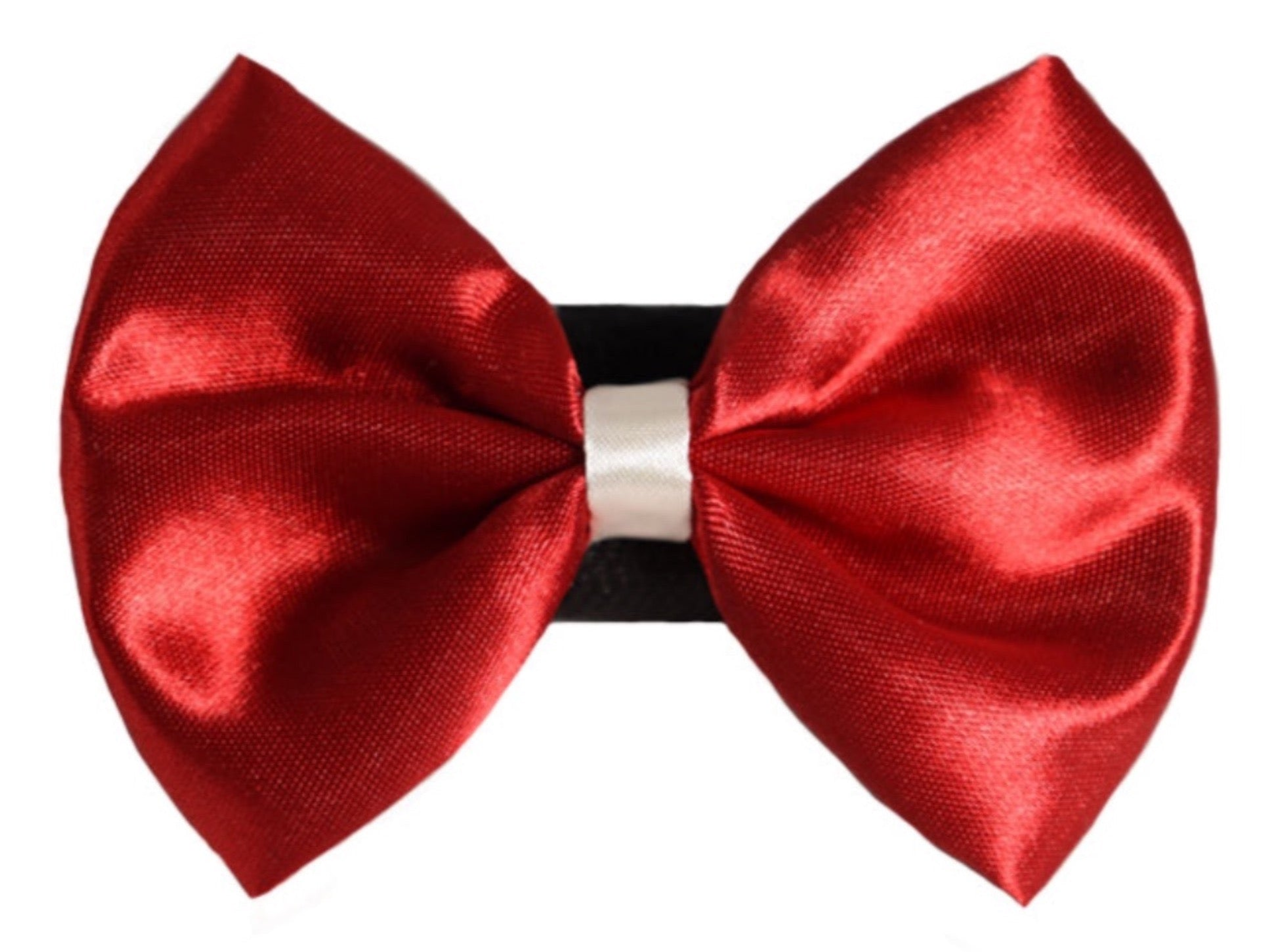 PR3001|Pets Ribbons Image 1
