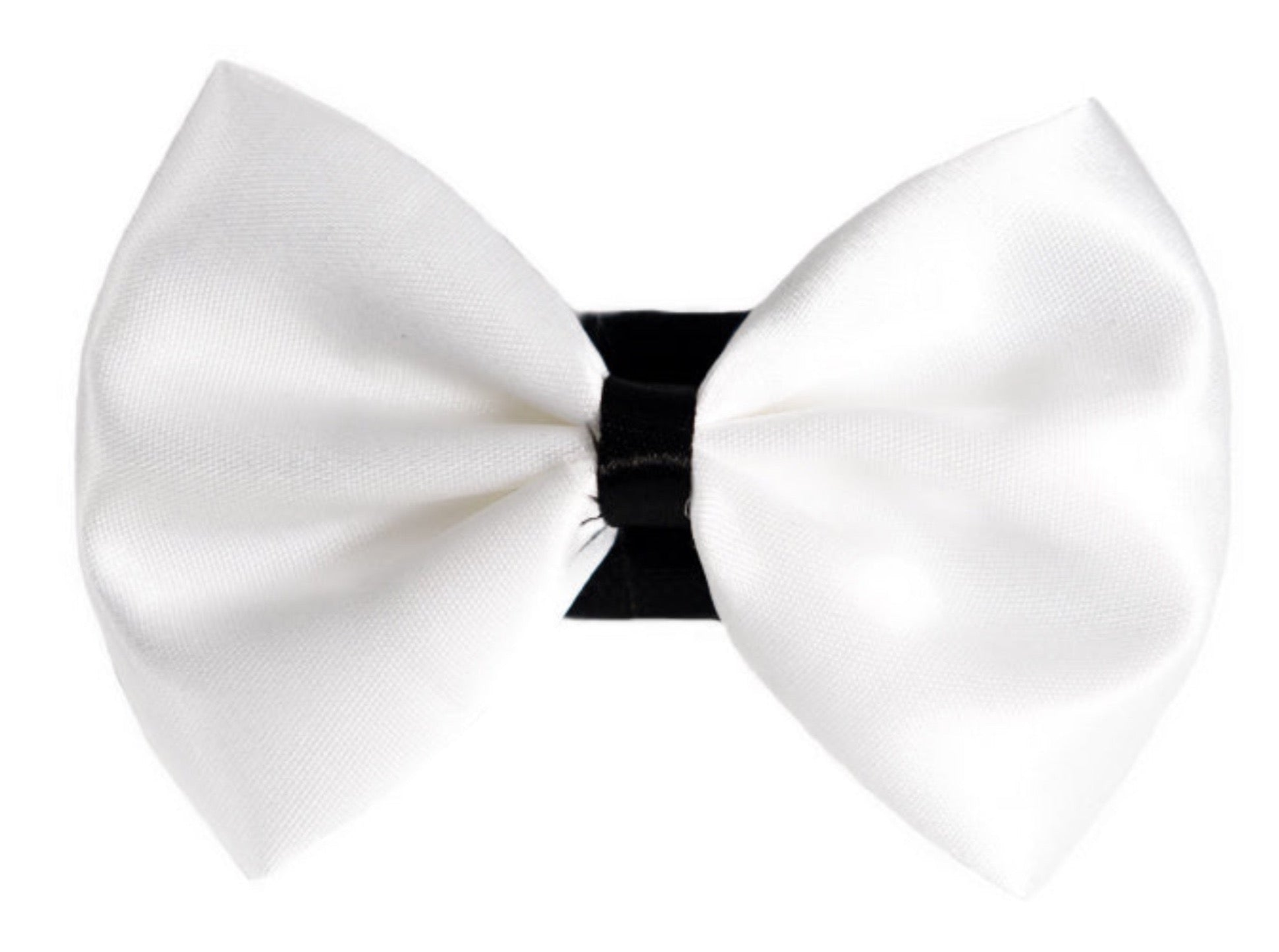 PR3001|Pets Ribbons Image 1
