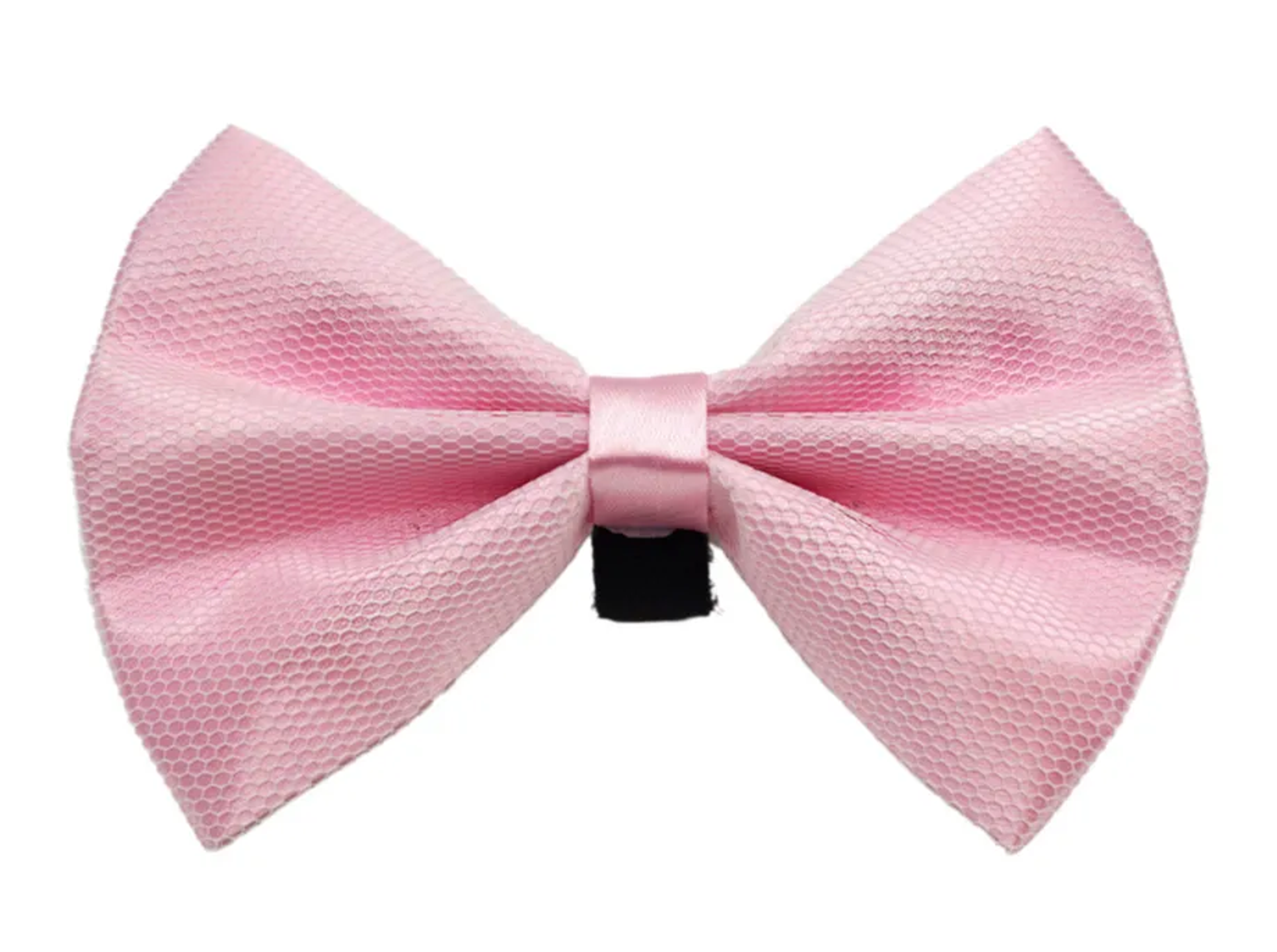 PR3004|Pets Ribbons Image 1