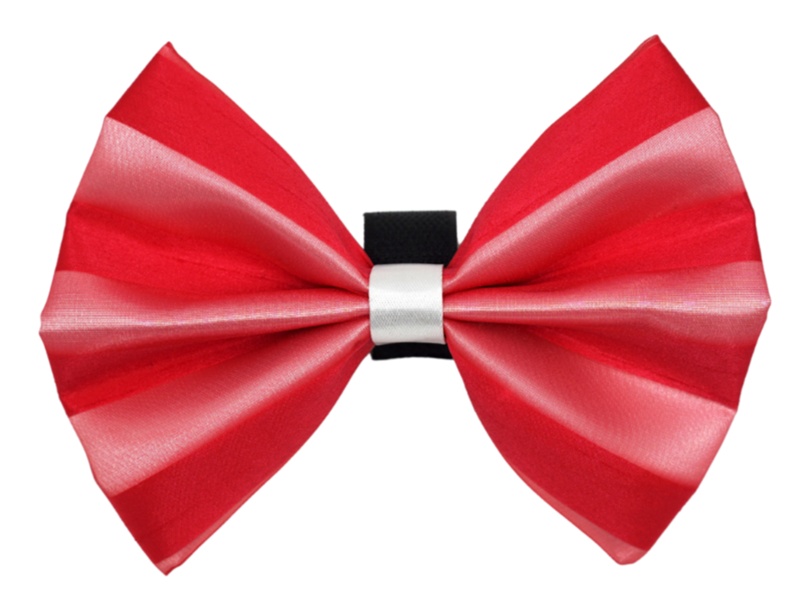 PR3006|Pets Ribbons Image 1