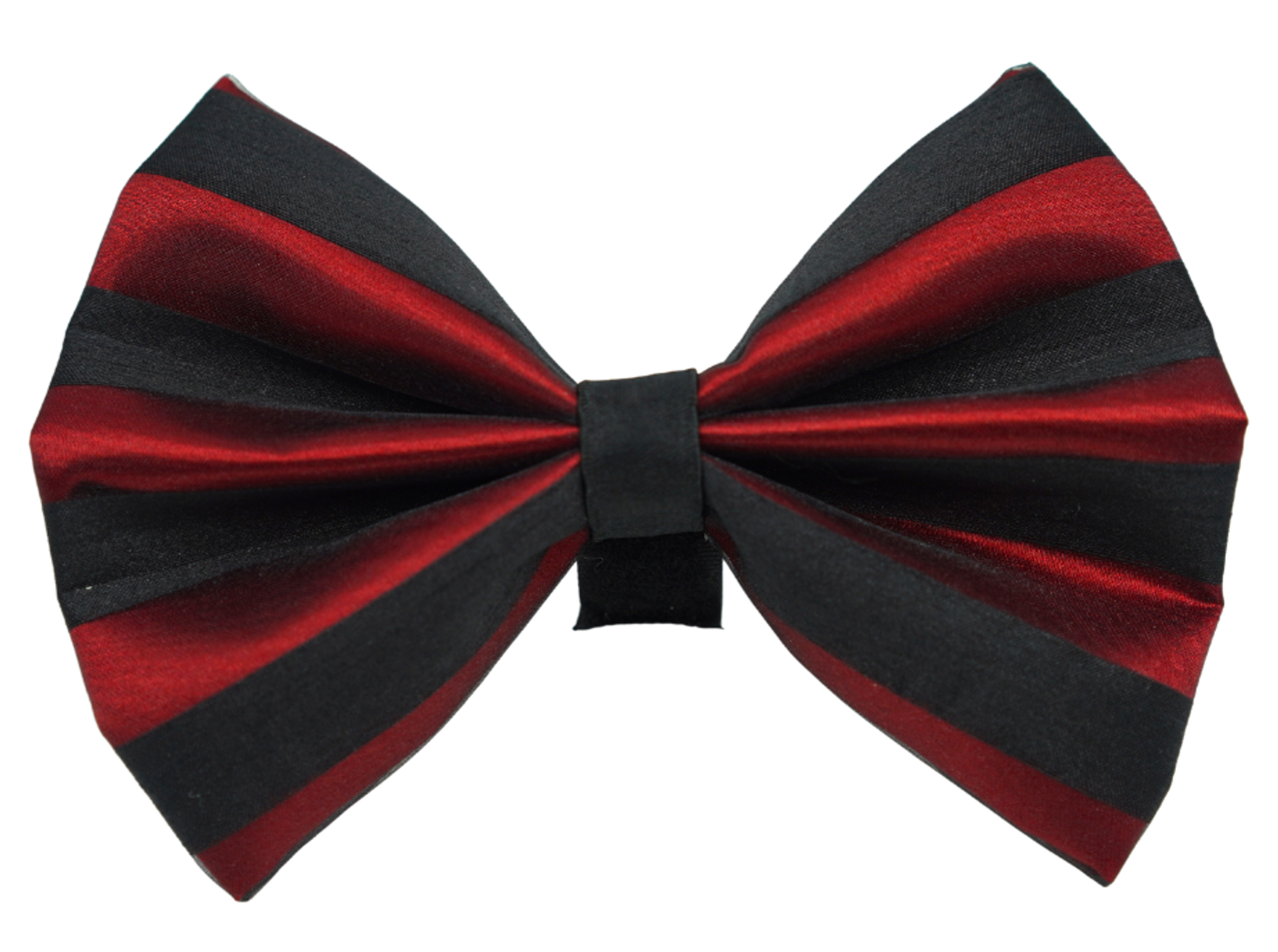 PR3006|Pets Ribbons Image 1