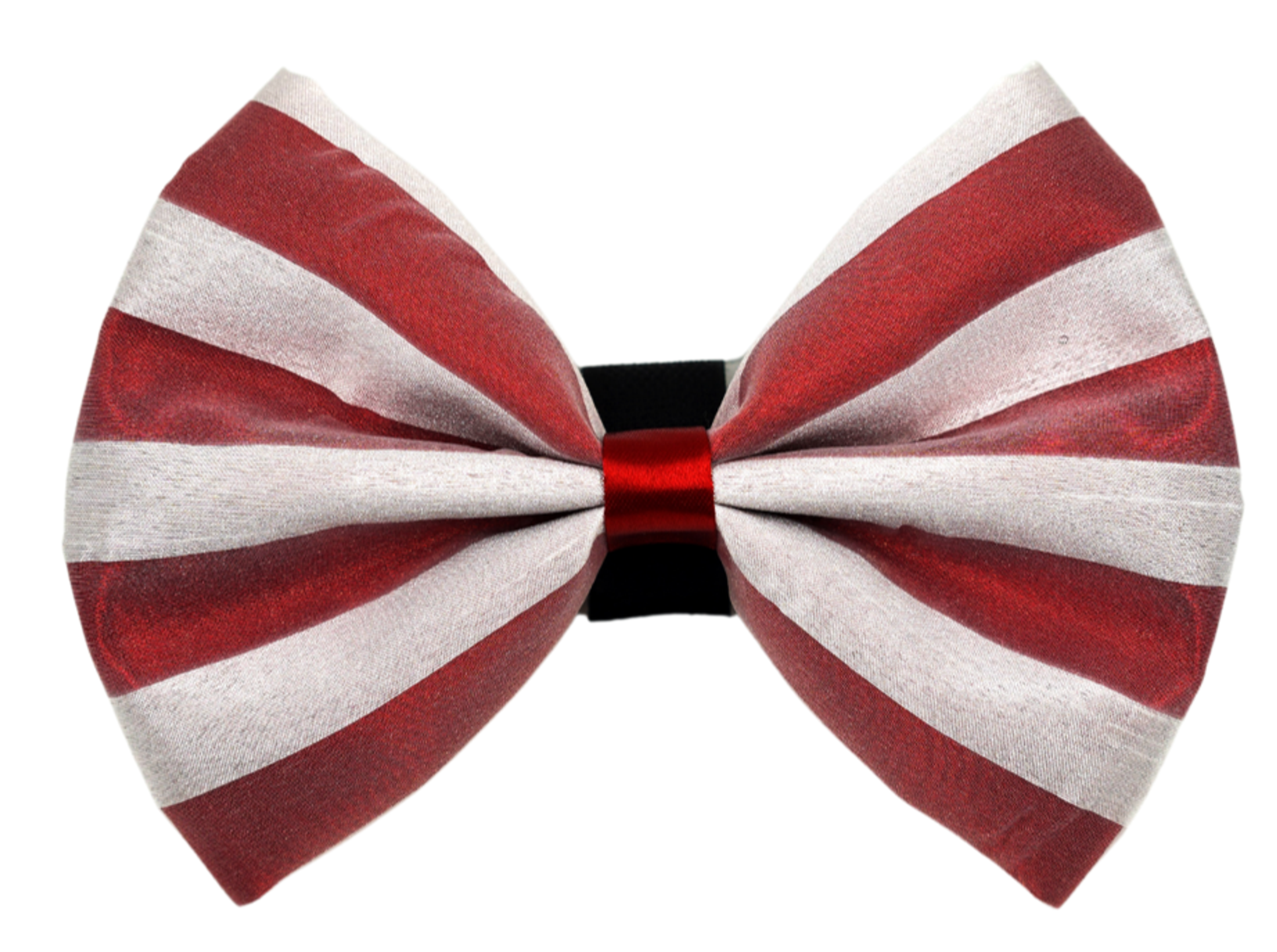 PR3006|Pets Ribbons Image 1