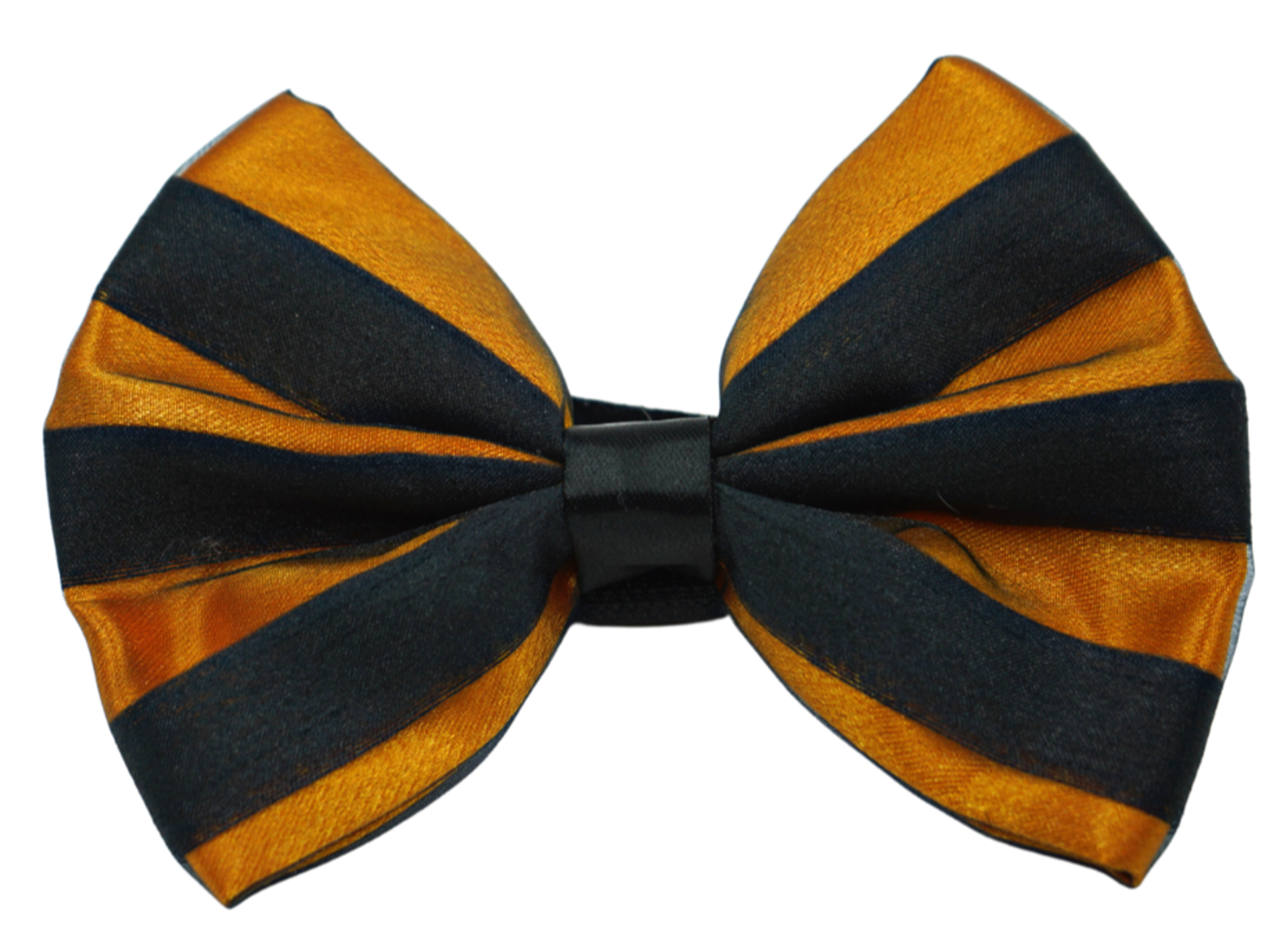 PR3006HS|Pets Ribbons Image 1