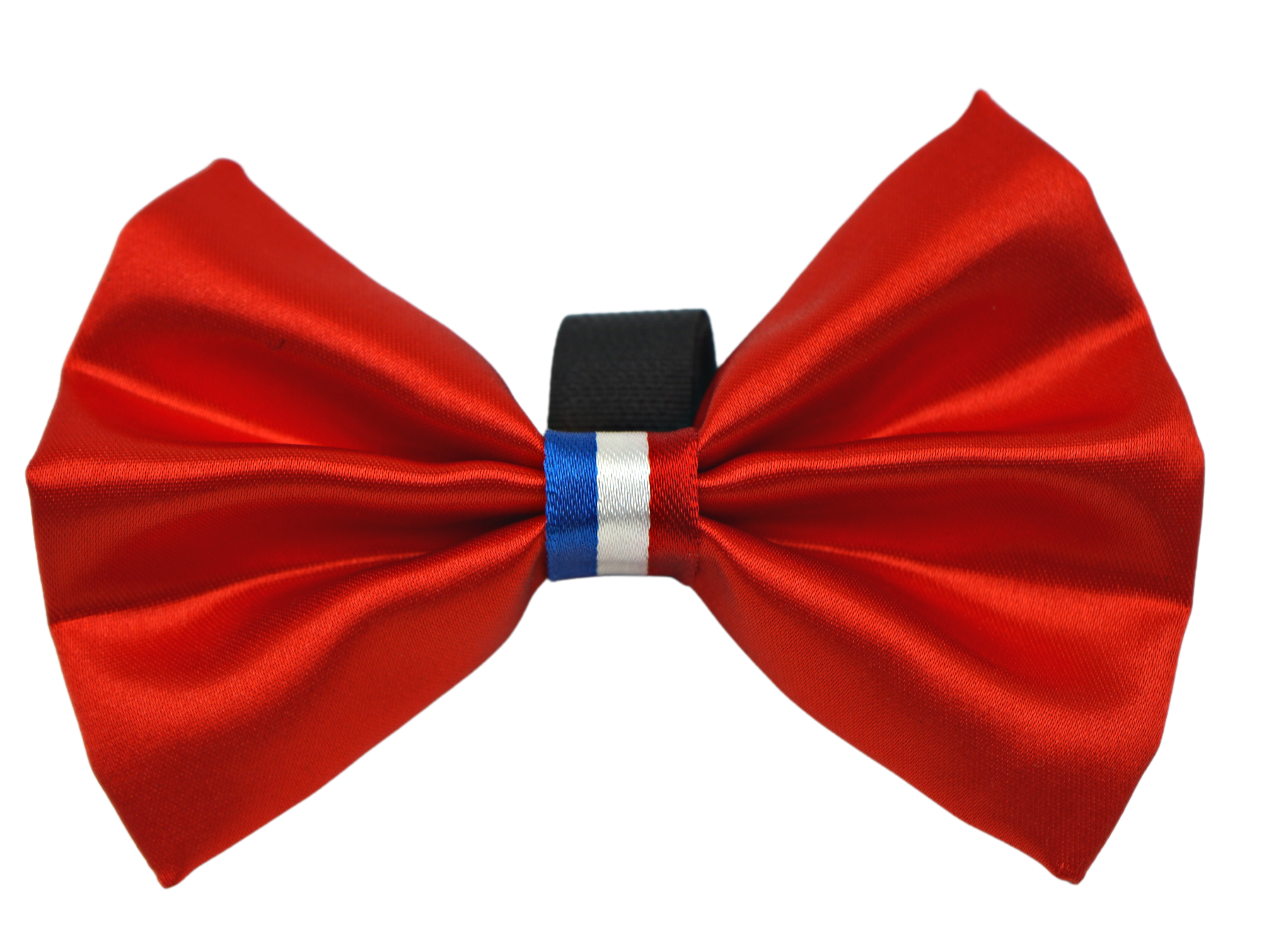 PR3009|Pets Ribbons Image 1