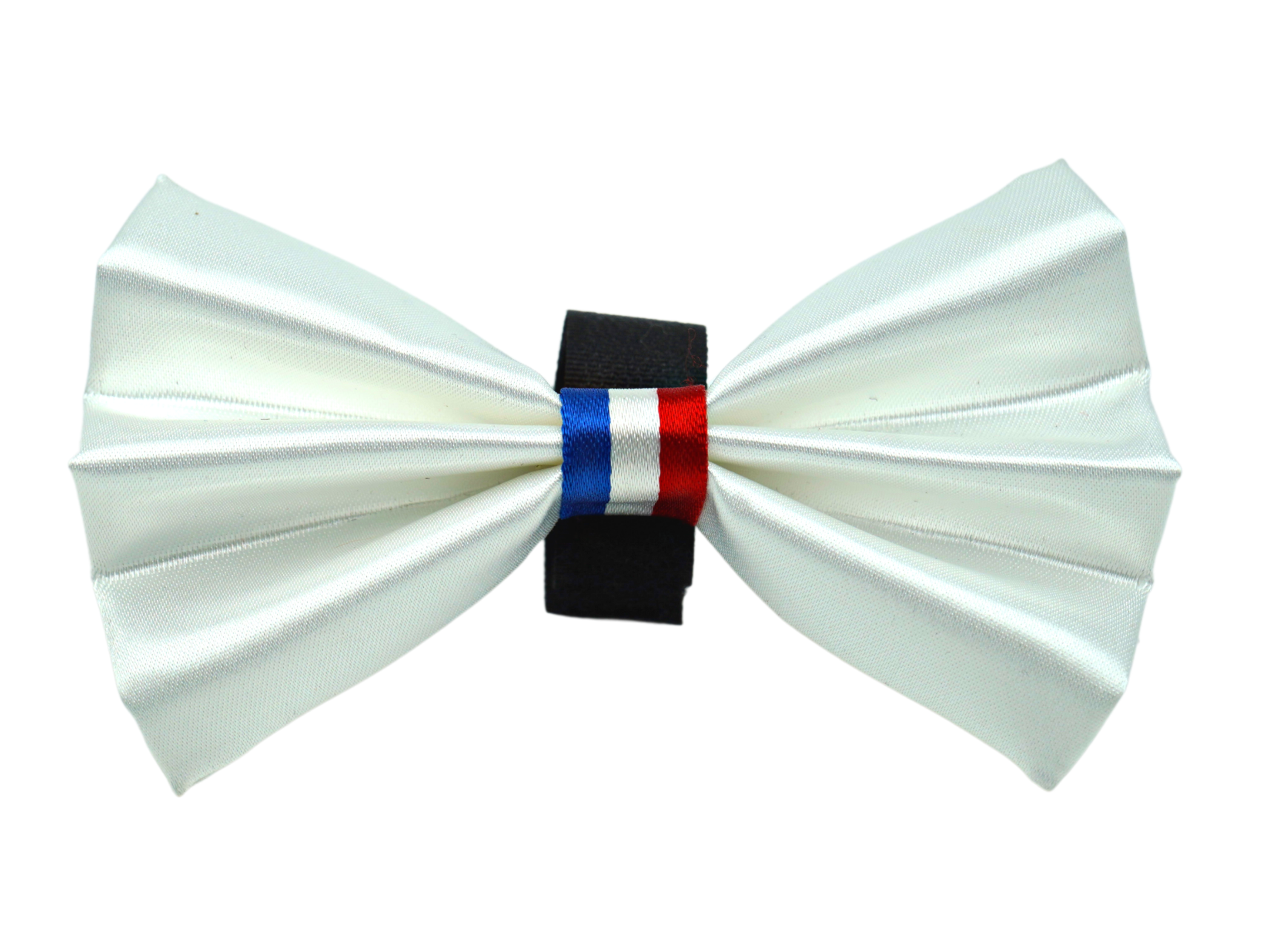 PR3009|Pets Ribbons Image 1