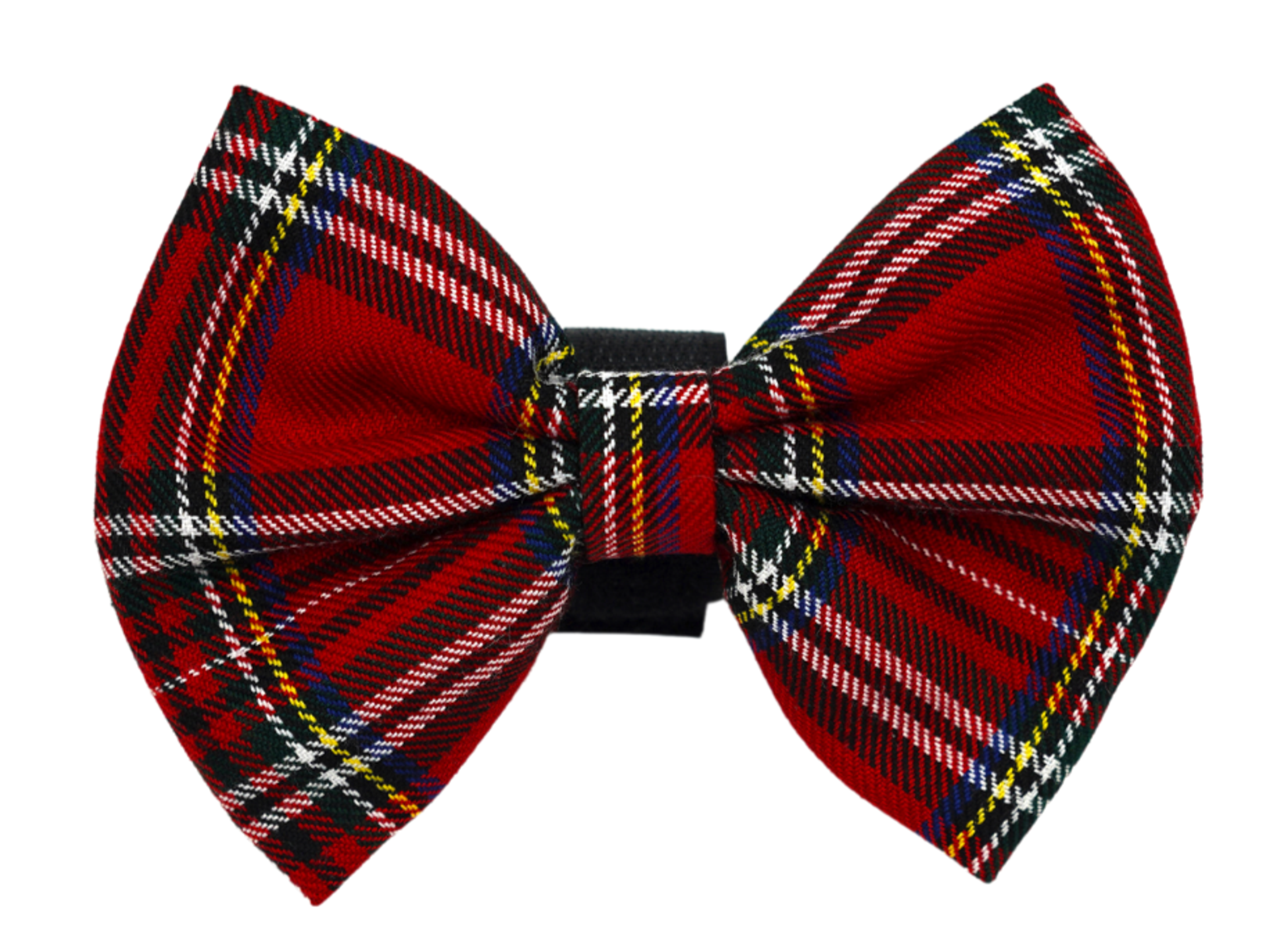 PR4013|Pets Ribbons Image 1