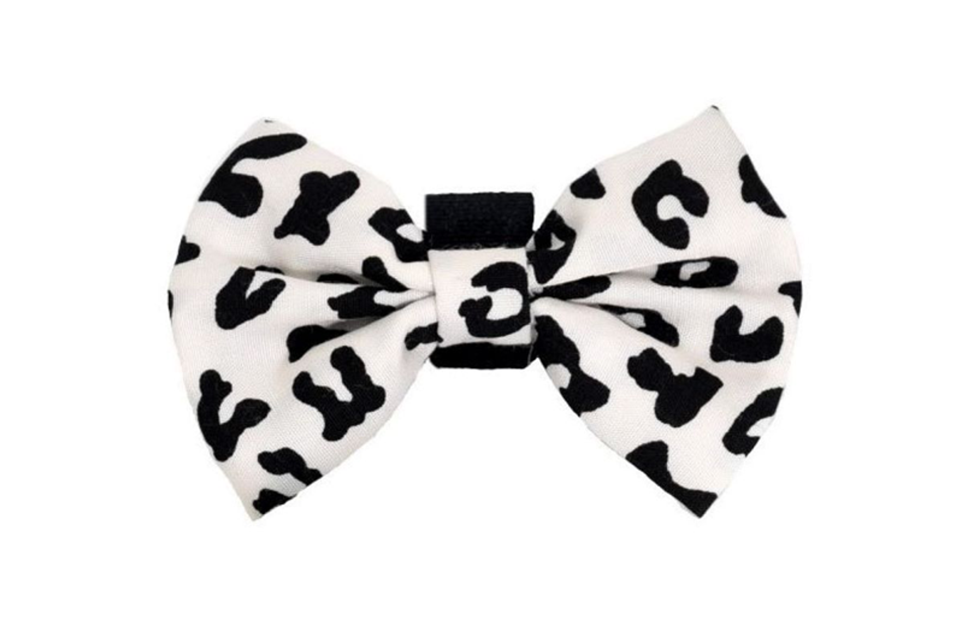 PR6000|Pets Ribbons Image 1