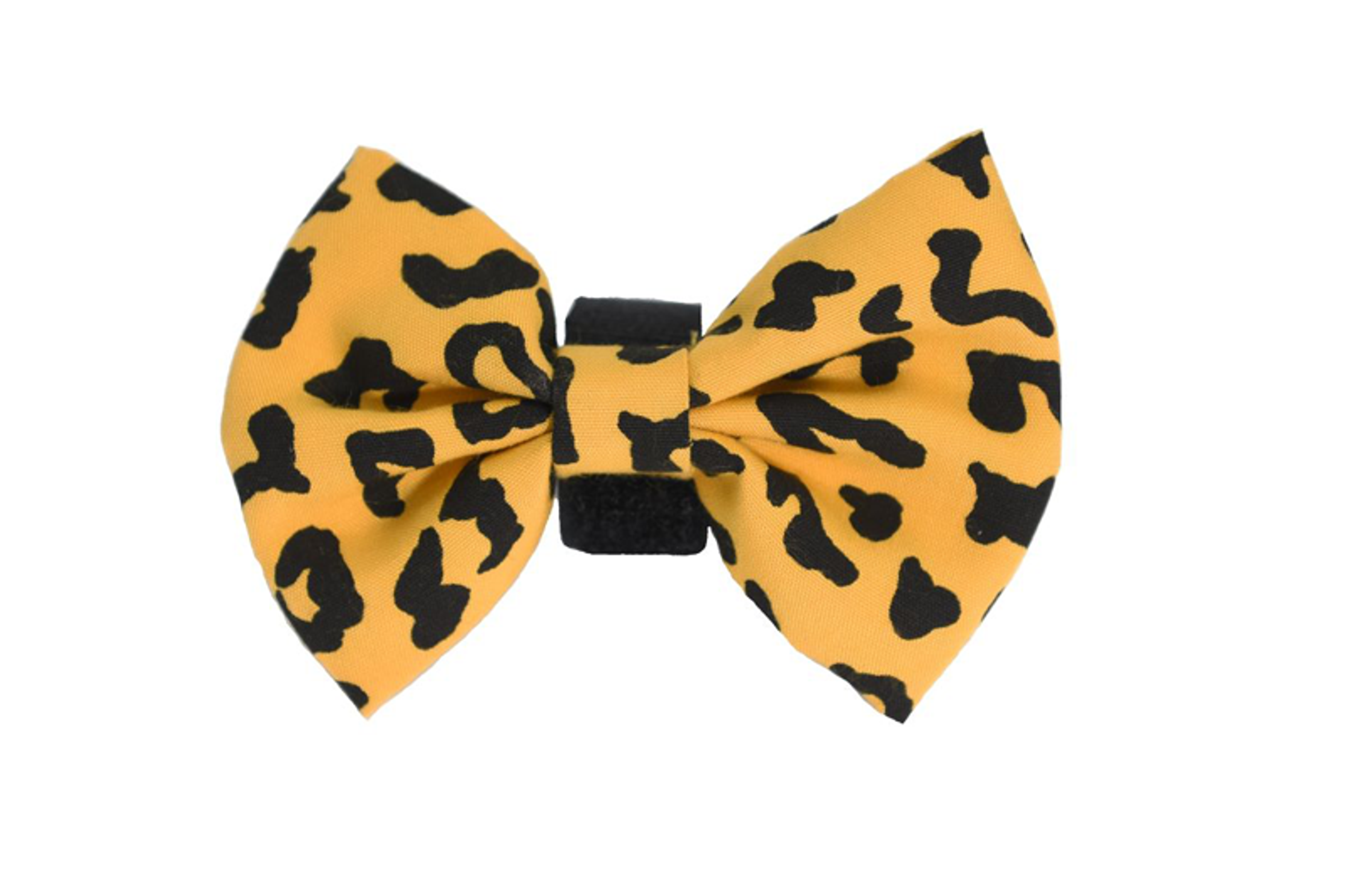 PR6000|Pets Ribbons Image 1