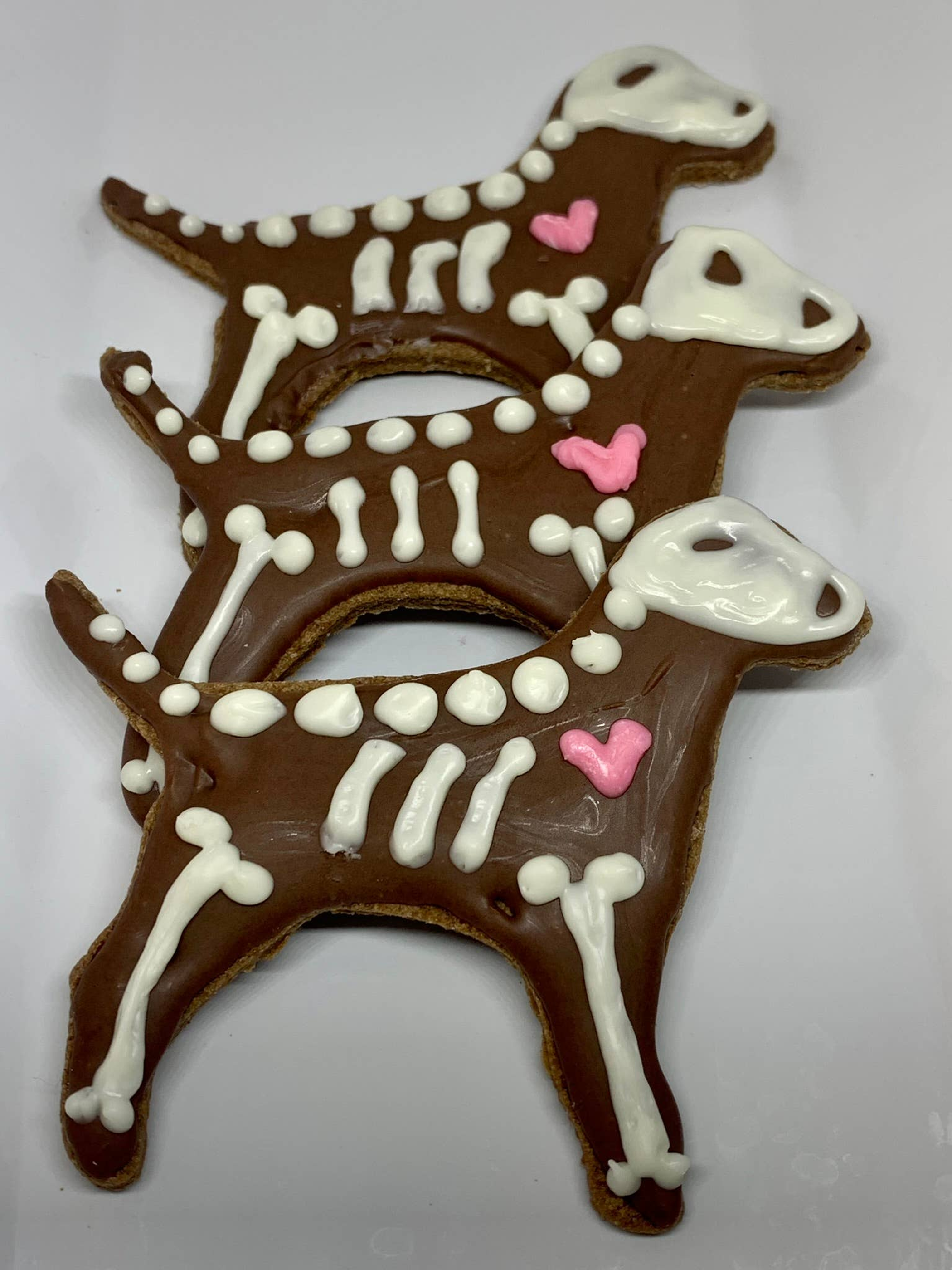 Bones the Lab Image 1