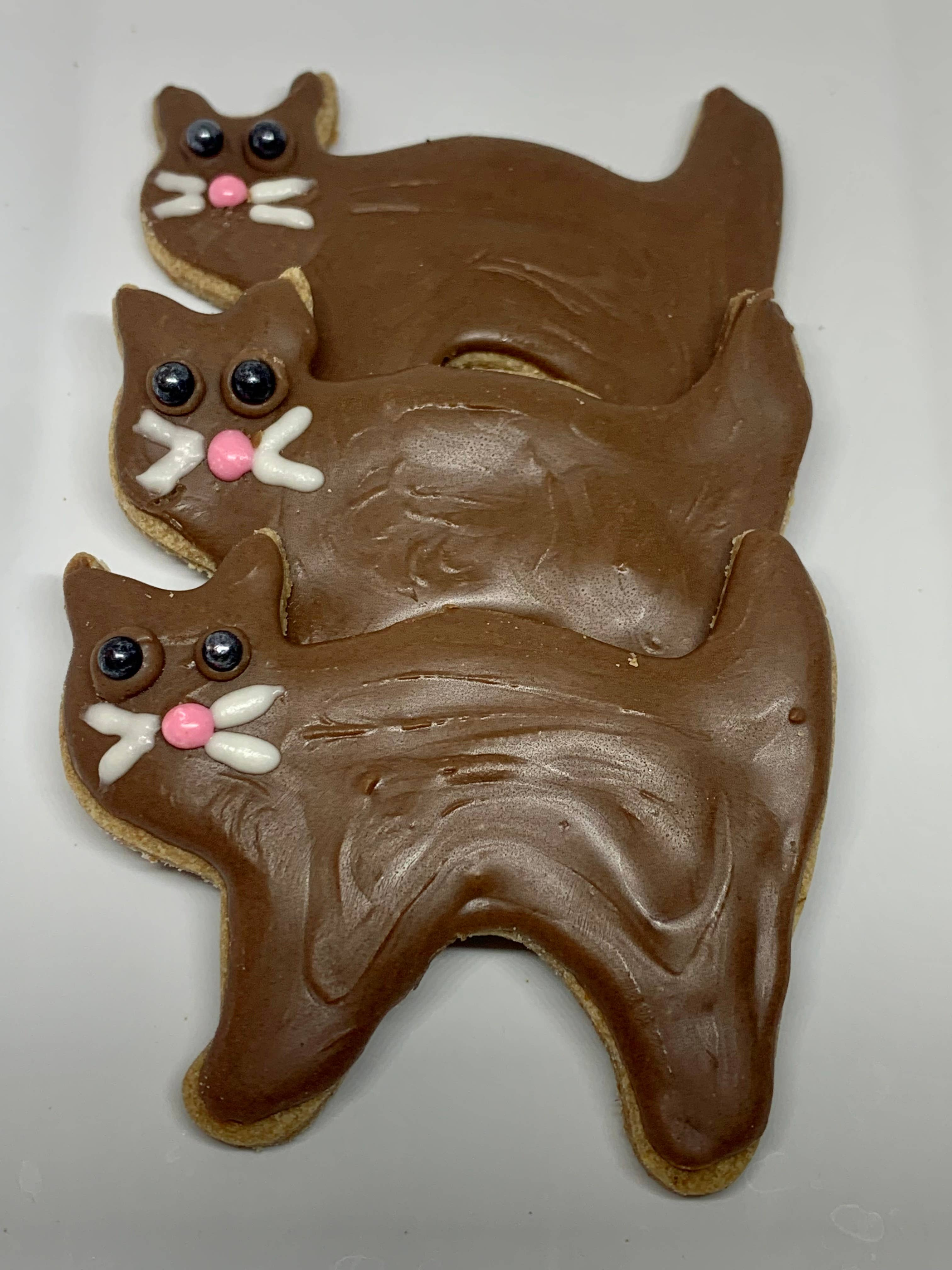 Fraidy Cat Image 1