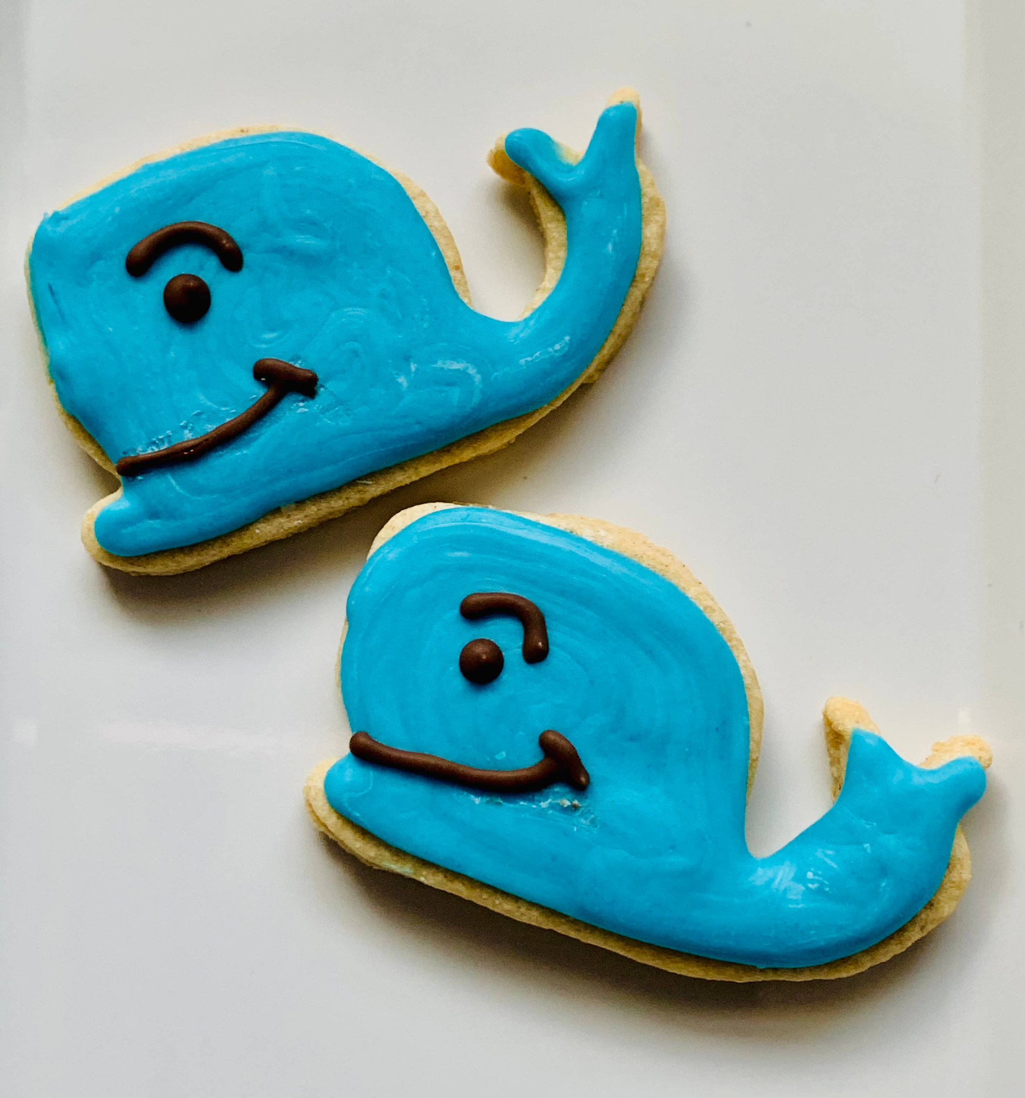 Whale....Hello there Image 1