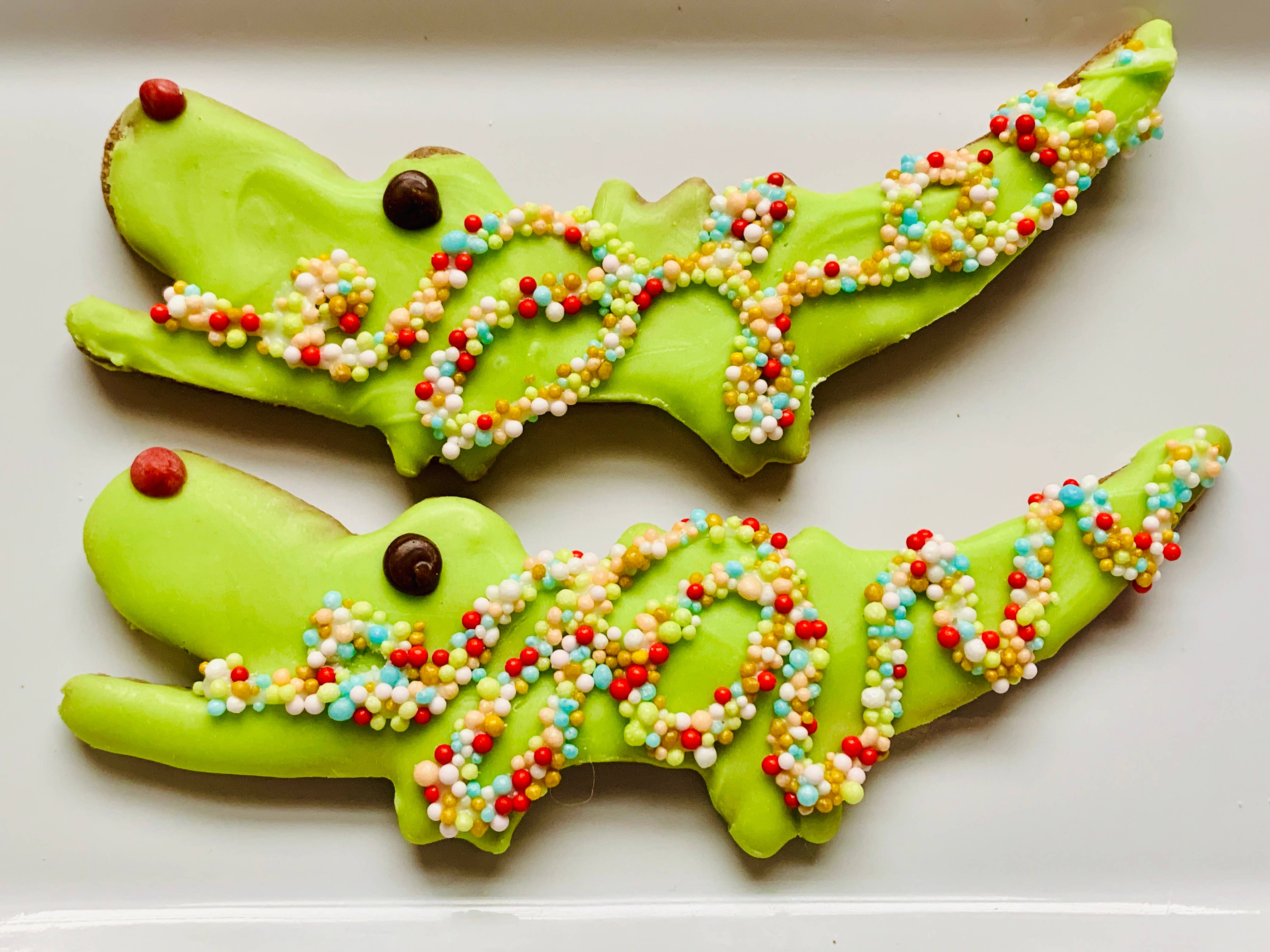 The Christmas Croc Image 1