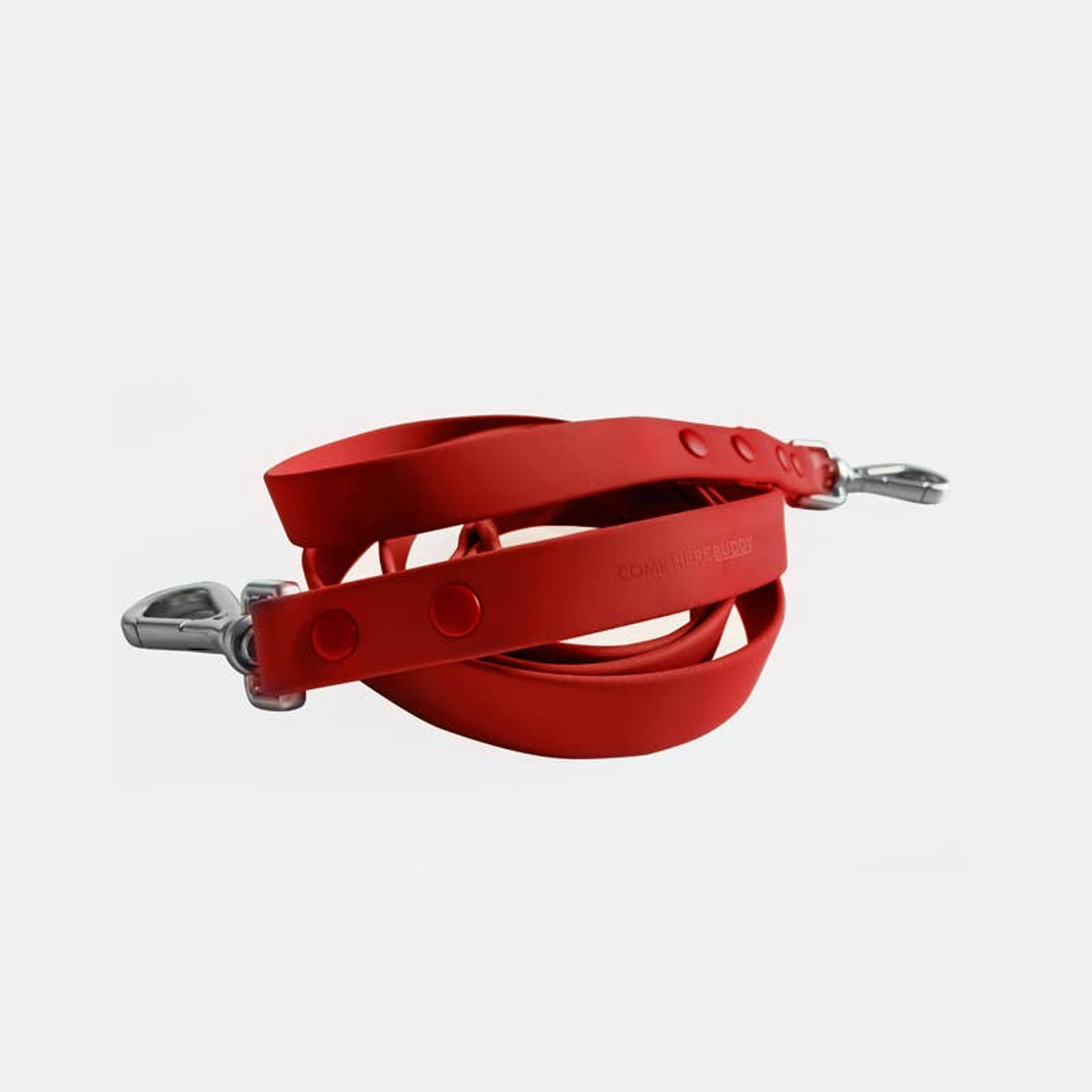 Red Dog Leash Image 1