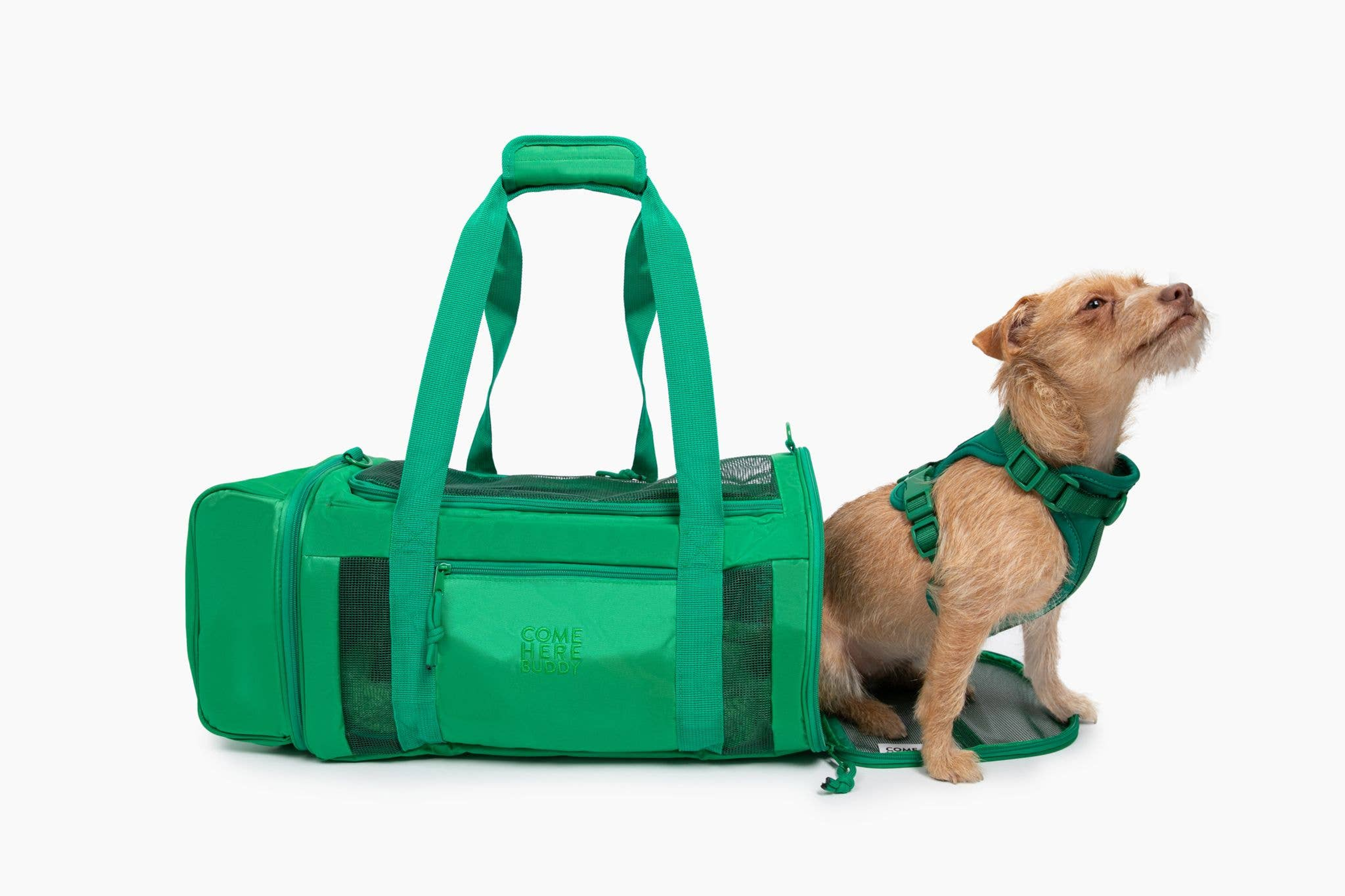Travel Buddy  - Pet Carrier Image 1