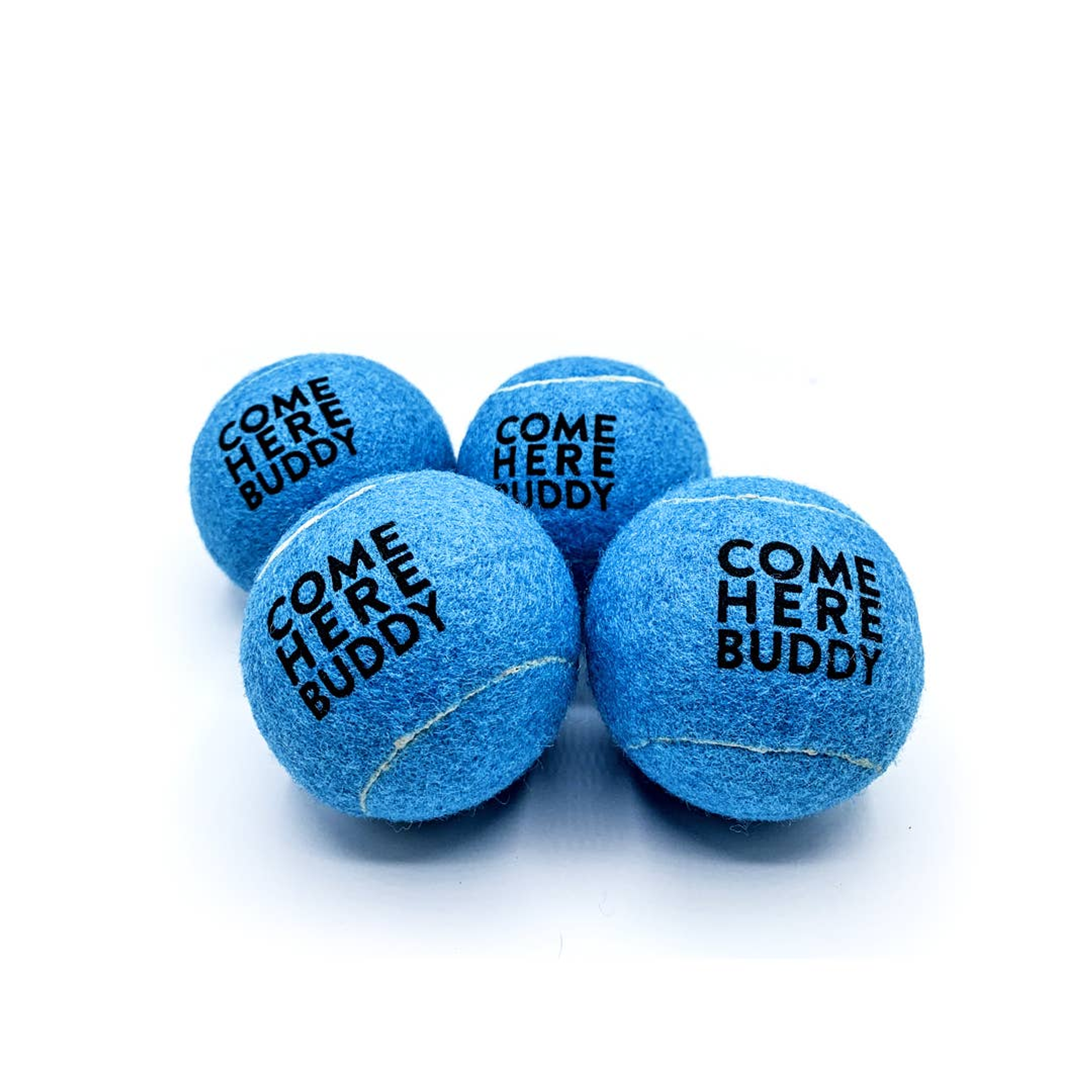 Set of 4 Come Here Buddy Tennis Balls in Sky Blue Image 1