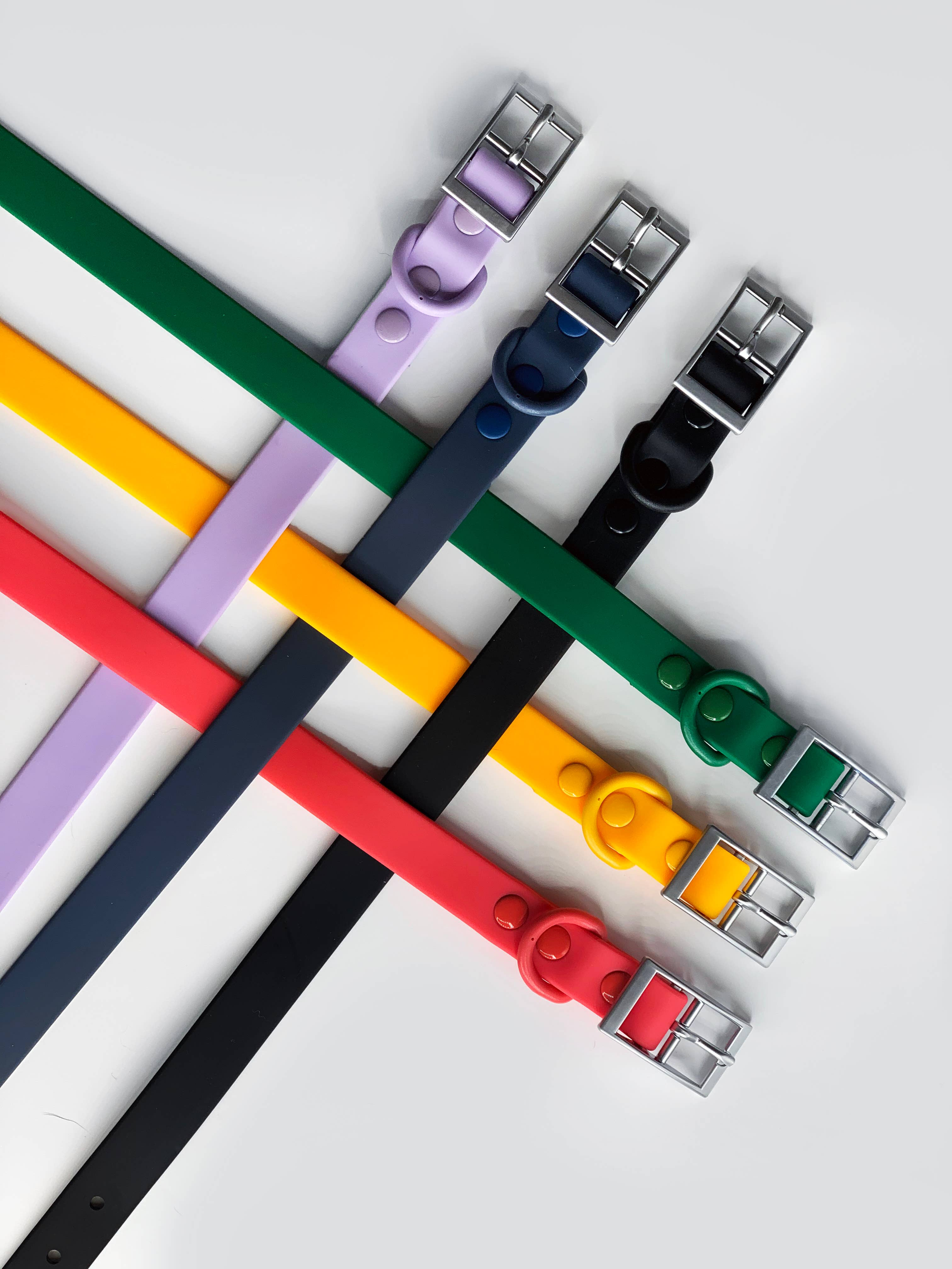 Dog Collar Medium (45cm x 2cm)