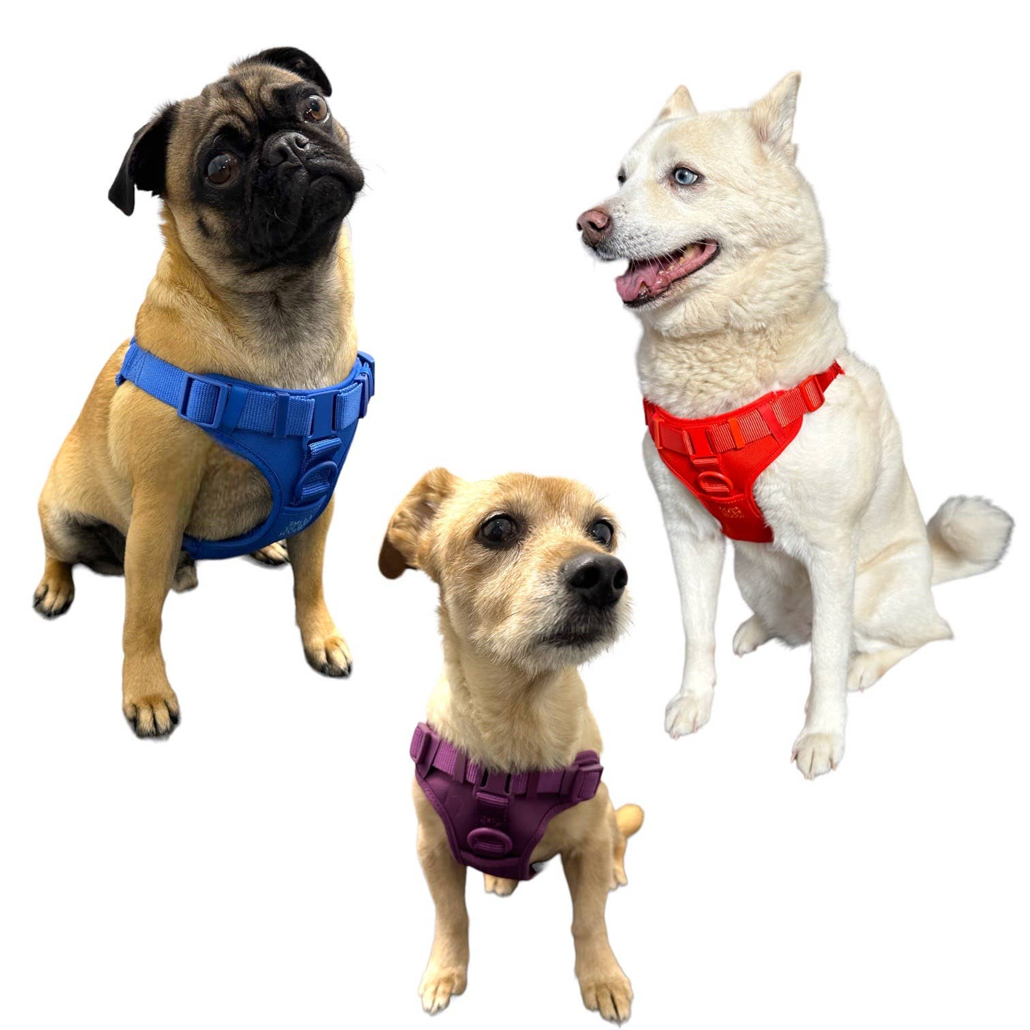 Step In Dog Harness Image 1