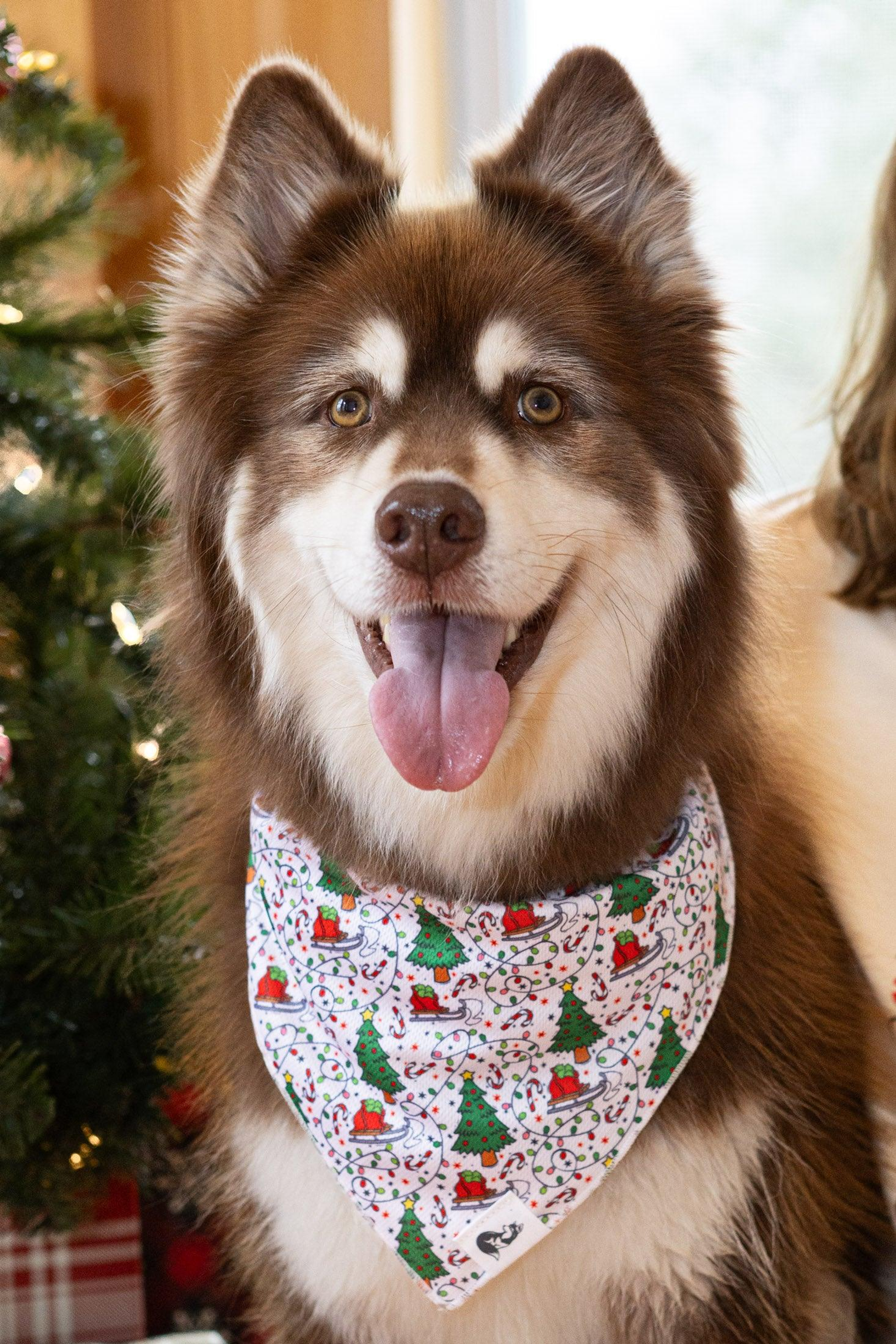 Howliday Cheer Dog Bandana Image 1