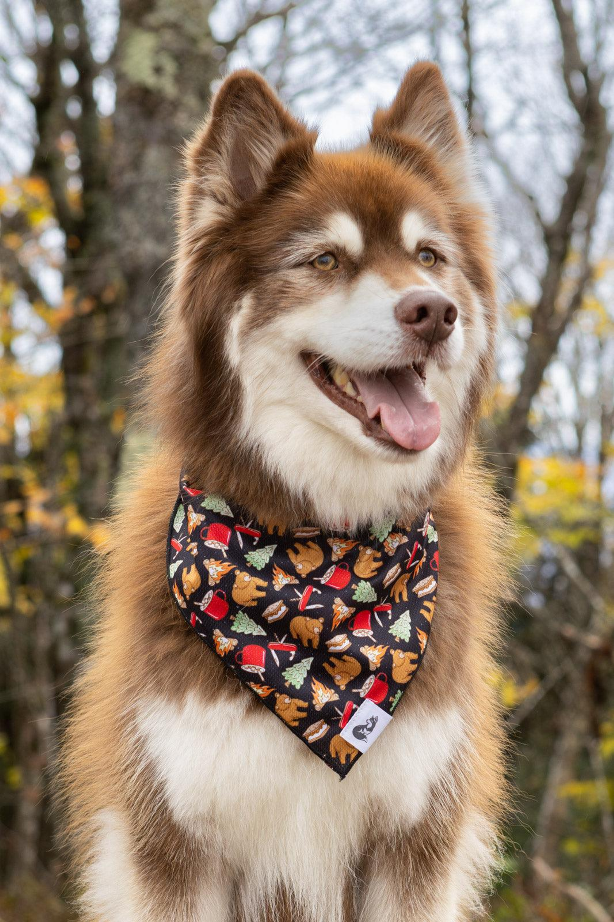 Woodland Tales Dog Bandana Image 1