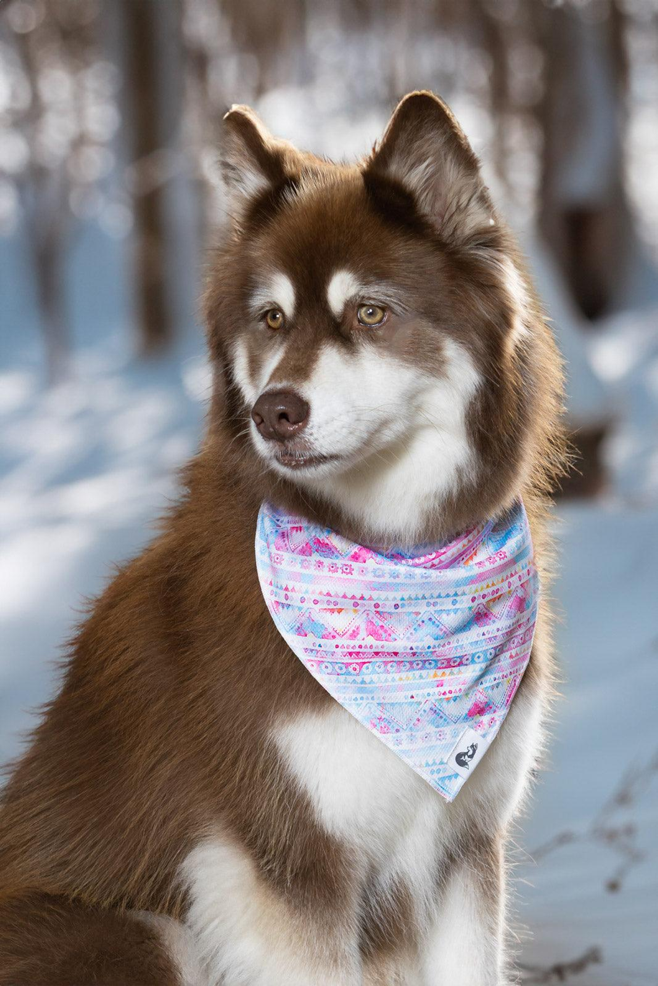 Pink and Blue Tribal Dog Bandana Image 1